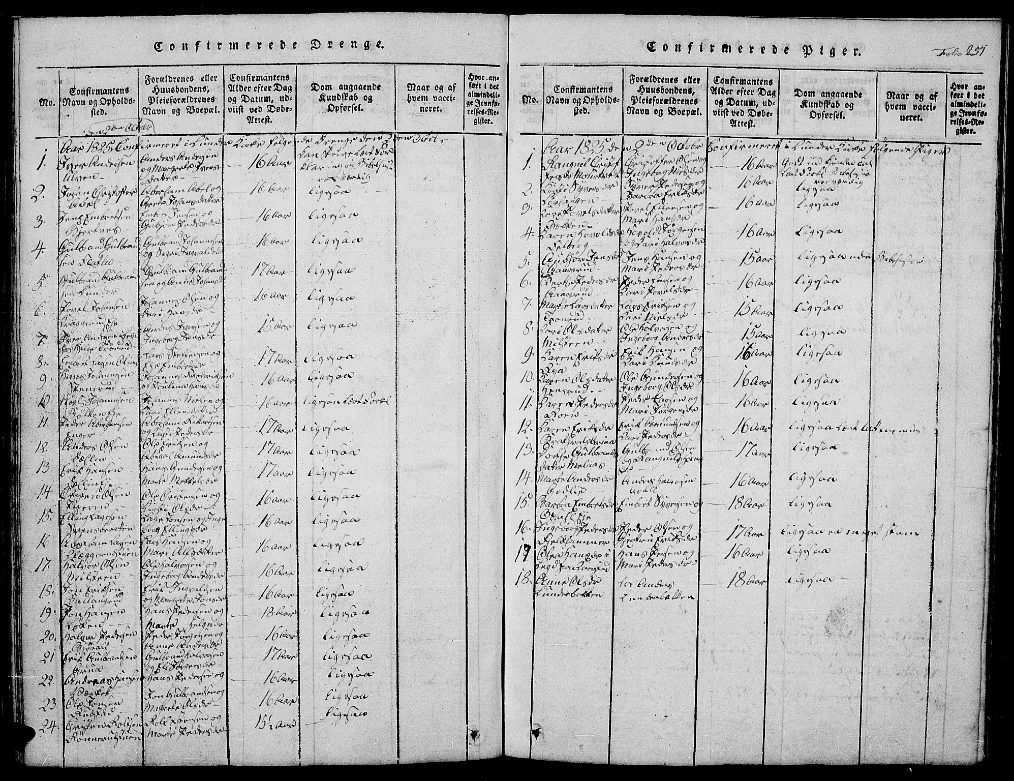 Jevnaker prestekontor, SAH/PREST-116/H/Ha/Hab/L0001: Parish register (copy) no. 1, 1815-1837, p. 251