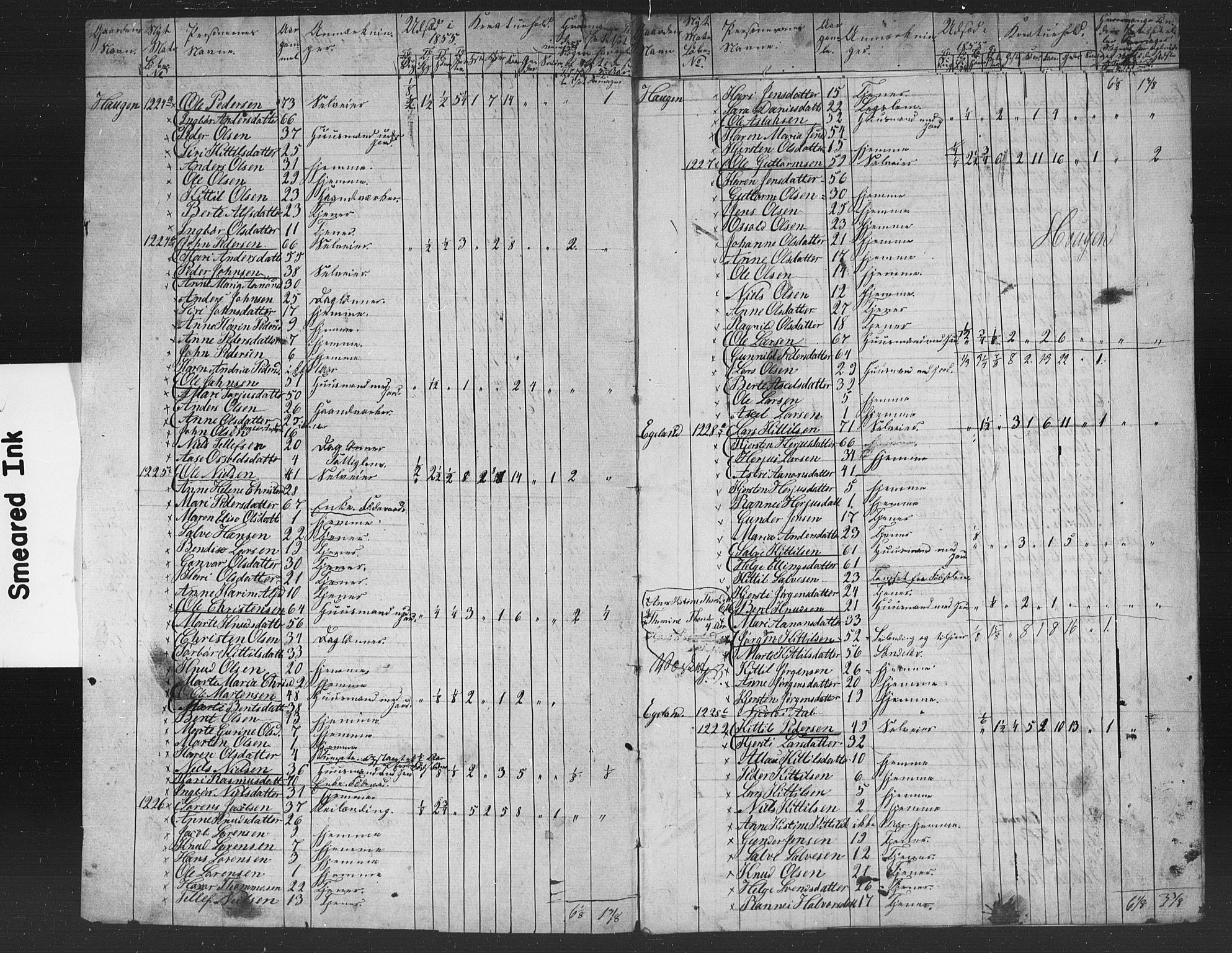 , Census 1855 for Gjerstad, 1855, p. 41