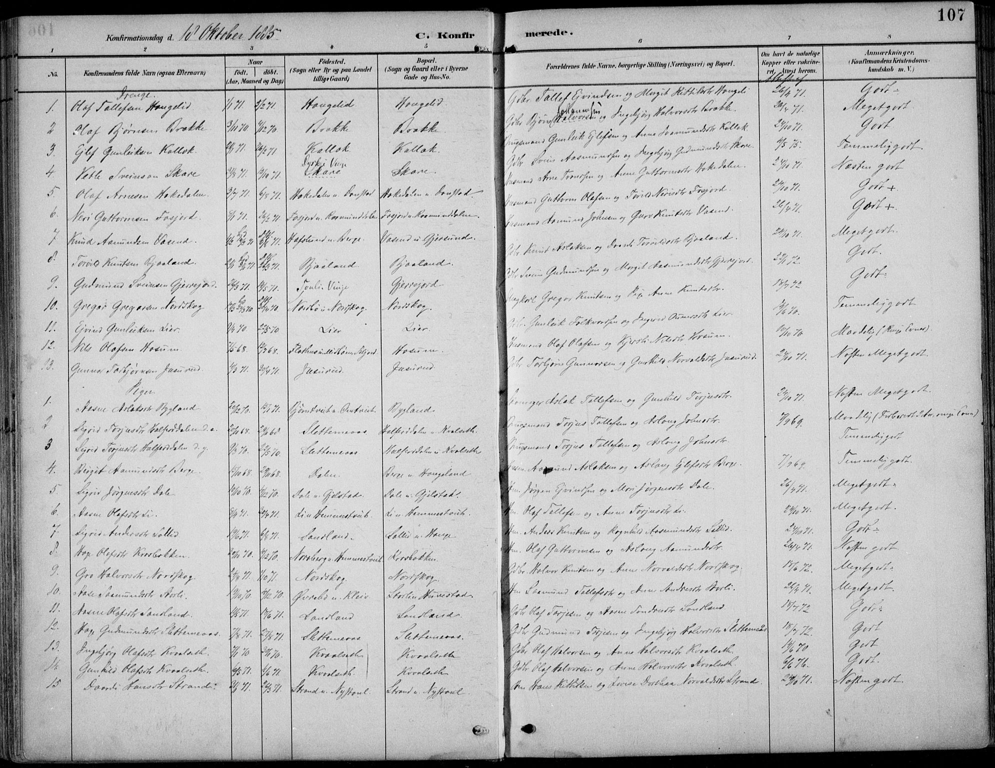 Kviteseid kirkebøker, SAKO/A-276/F/Fb/L0002: Parish register (official) no. II 2, 1882-1916, p. 107