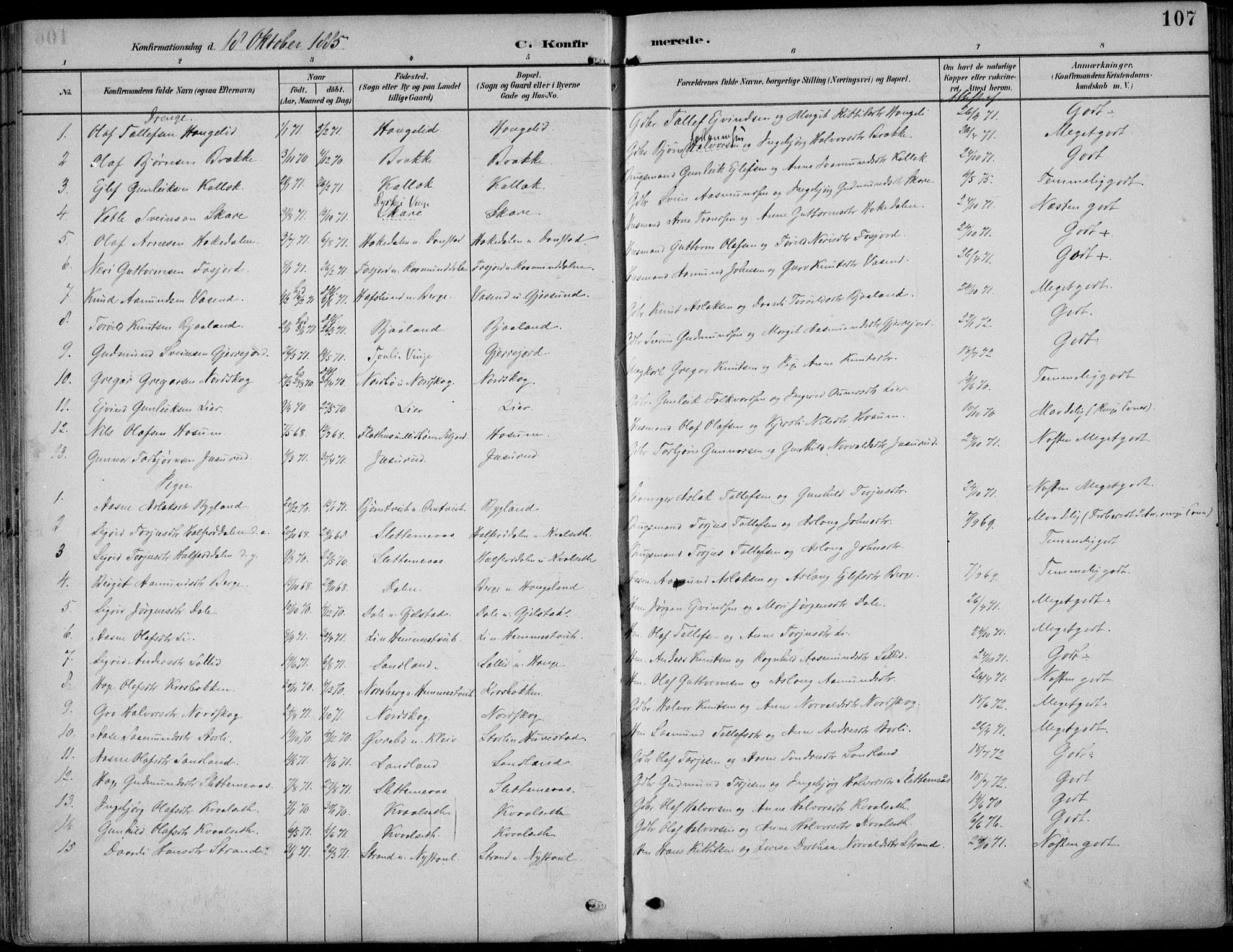 Kviteseid kirkebøker, AV/SAKO-A-276/F/Fb/L0002: Parish register (official) no. II 2, 1882-1916, p. 107