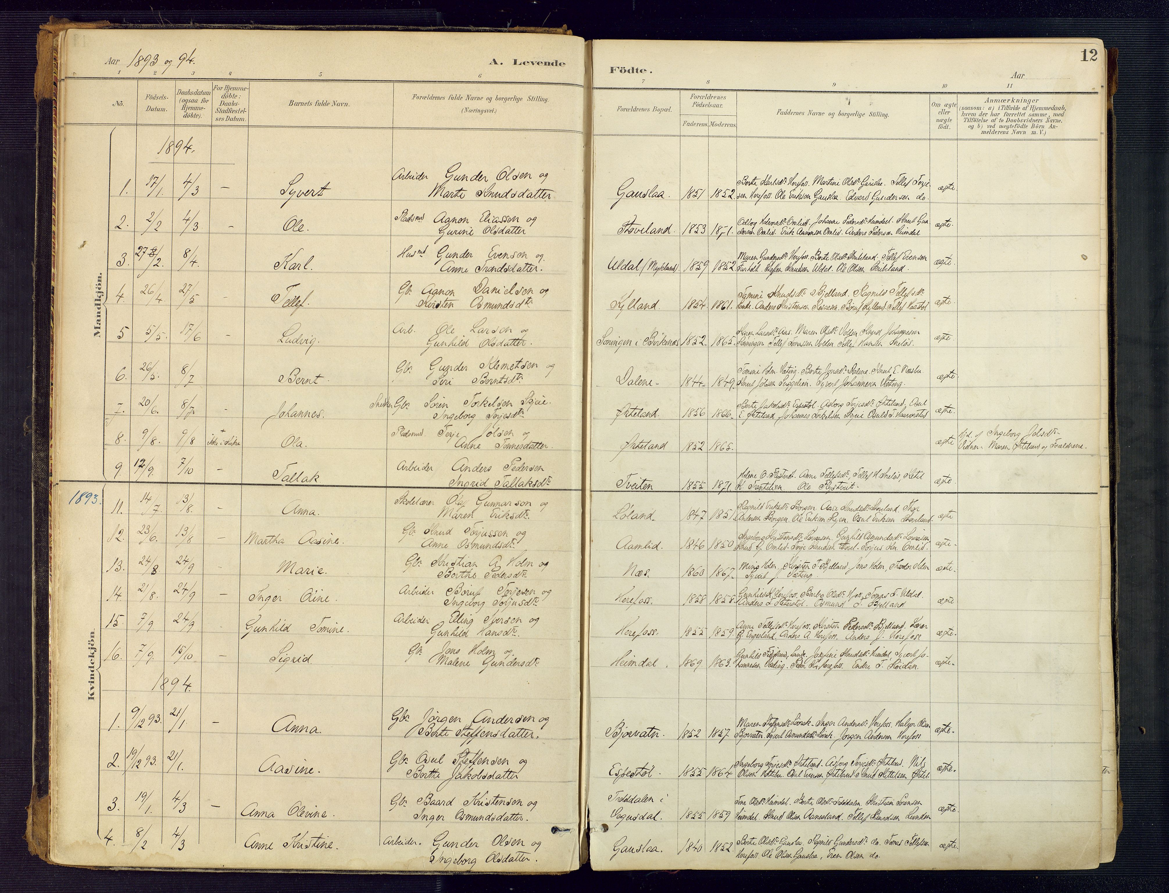 Herefoss sokneprestkontor, SAK/1111-0019/F/Fa/Faa/L0003: Parish register (official) no. A 3, 1887-1930, p. 12
