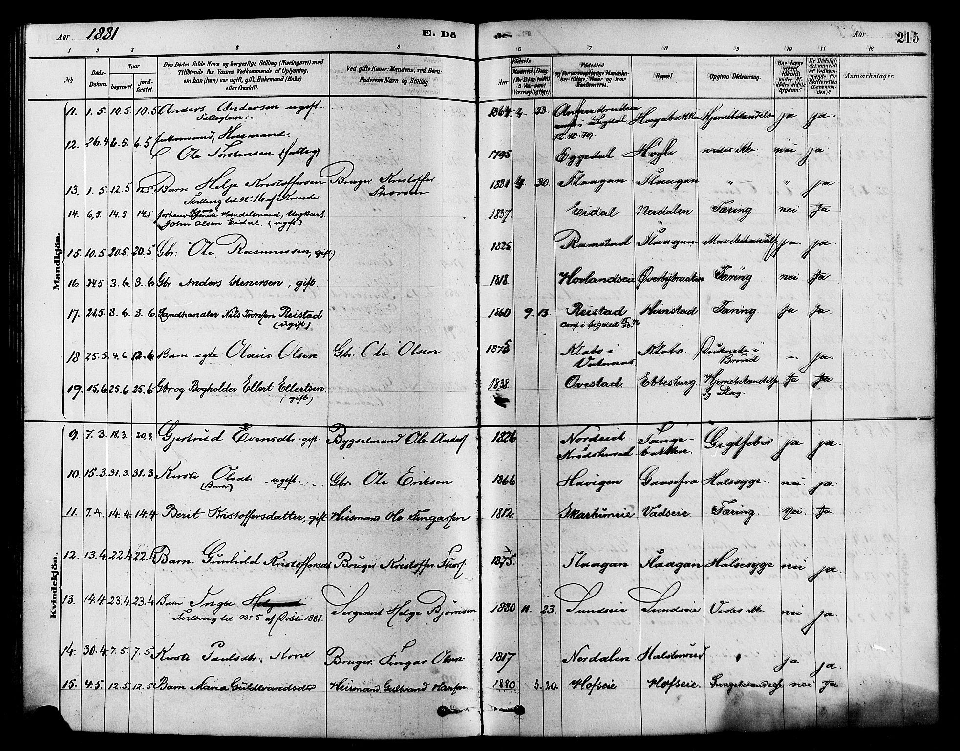 Sigdal kirkebøker, AV/SAKO-A-245/F/Fa/L0011: Parish register (official) no. I 11, 1879-1887, p. 215