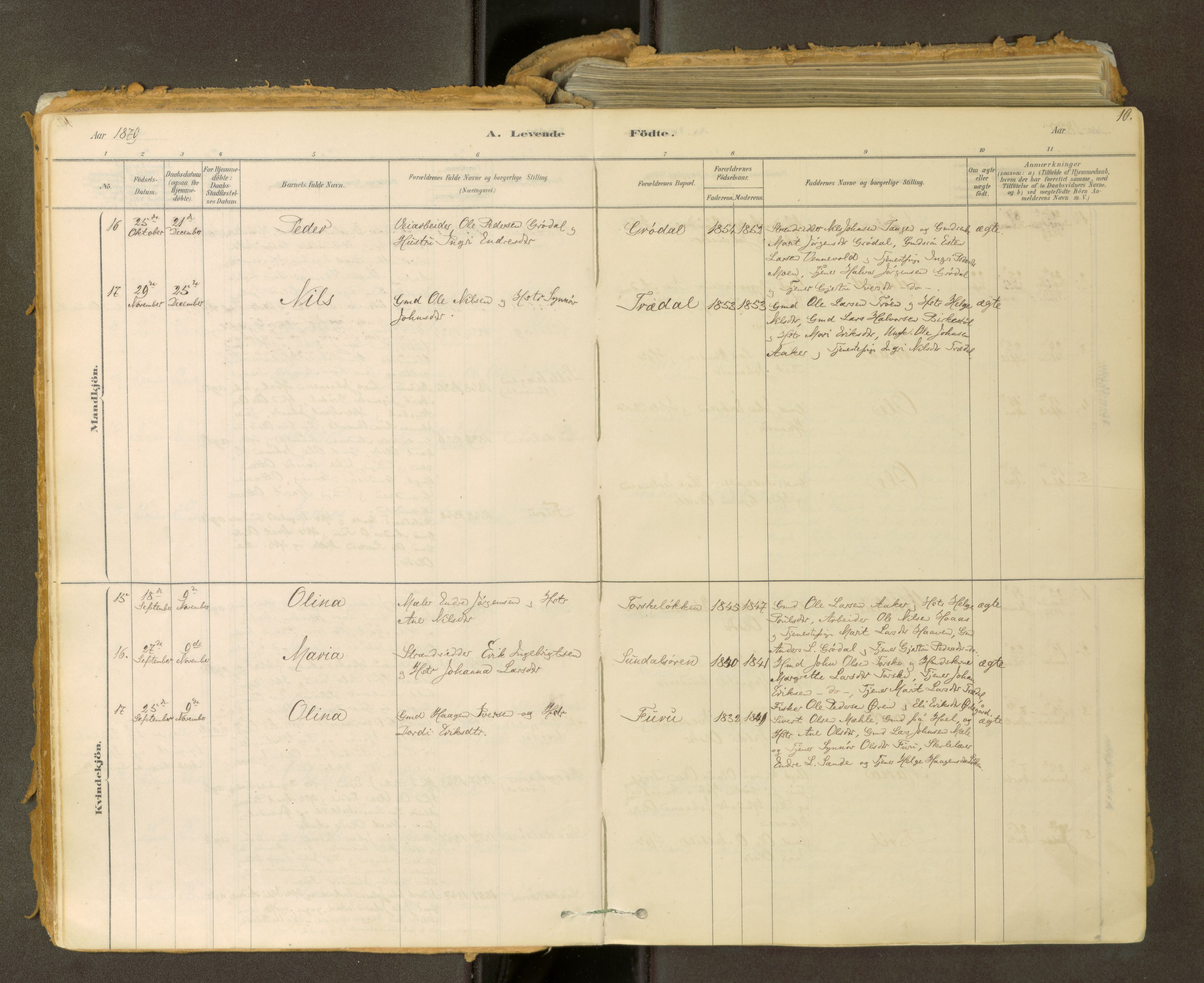 Sunndal sokneprestkontor, AV/SAT-A-1085/1/I/I1/I1a: Parish register (official) no. 2, 1877-1914, p. 10