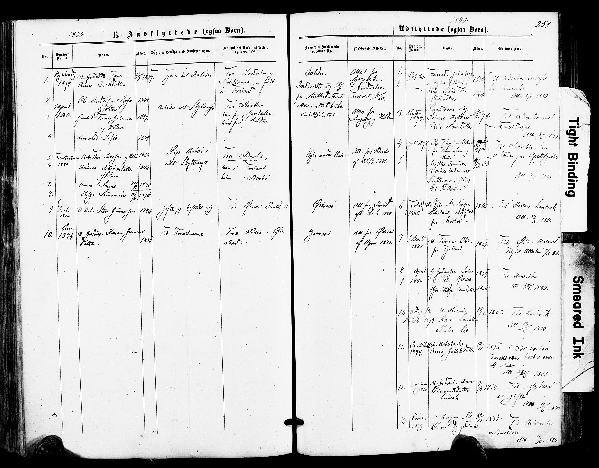 Froland sokneprestkontor, SAK/1111-0013/F/Fa/L0003: Parish register (official) no. A 3, 1864-1881, p. 251