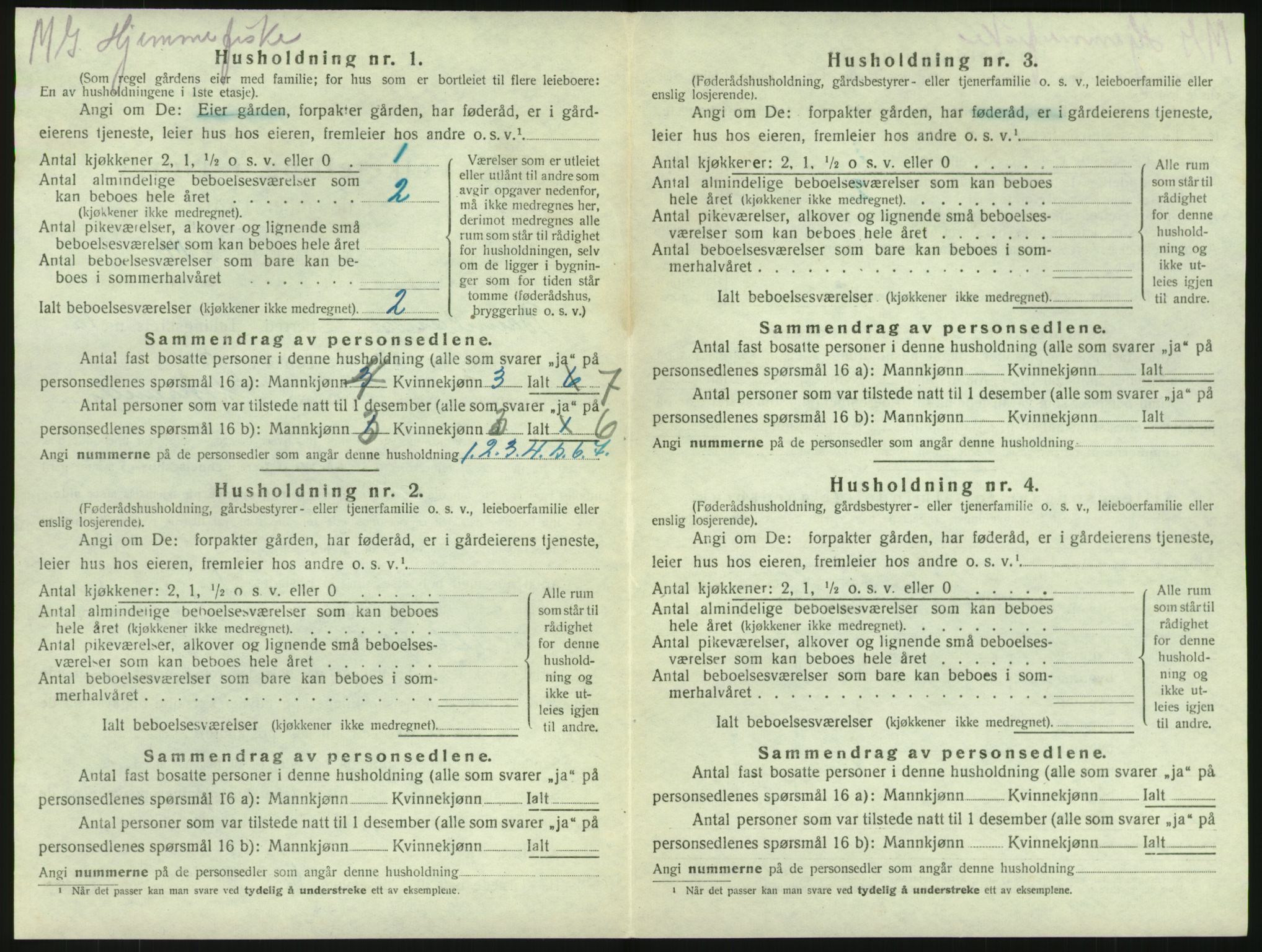 SAKO, 1920 census for Brunlanes, 1920, p. 1724