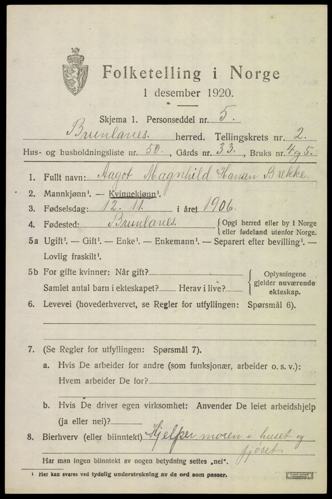 SAKO, 1920 census for Brunlanes, 1920, p. 3843