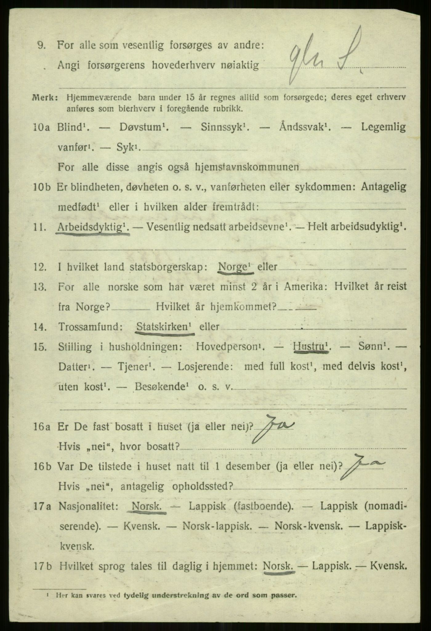 SATØ, 1920 census for Tromsøysund, 1920, p. 13233