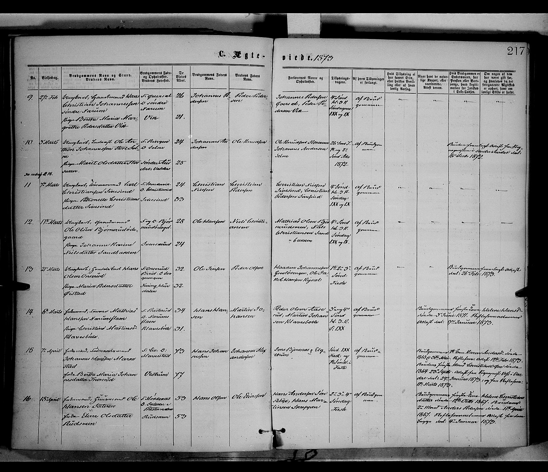 Vestre Toten prestekontor, SAH/PREST-108/H/Ha/Haa/L0008: Parish register (official) no. 8, 1870-1877, p. 217