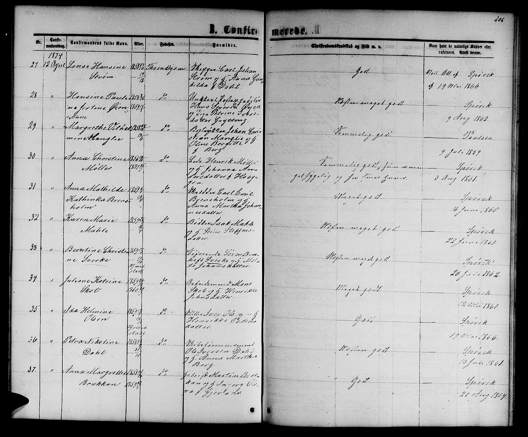 Ministerialprotokoller, klokkerbøker og fødselsregistre - Sør-Trøndelag, AV/SAT-A-1456/601/L0087: Parish register (copy) no. 601C05, 1864-1881, p. 206