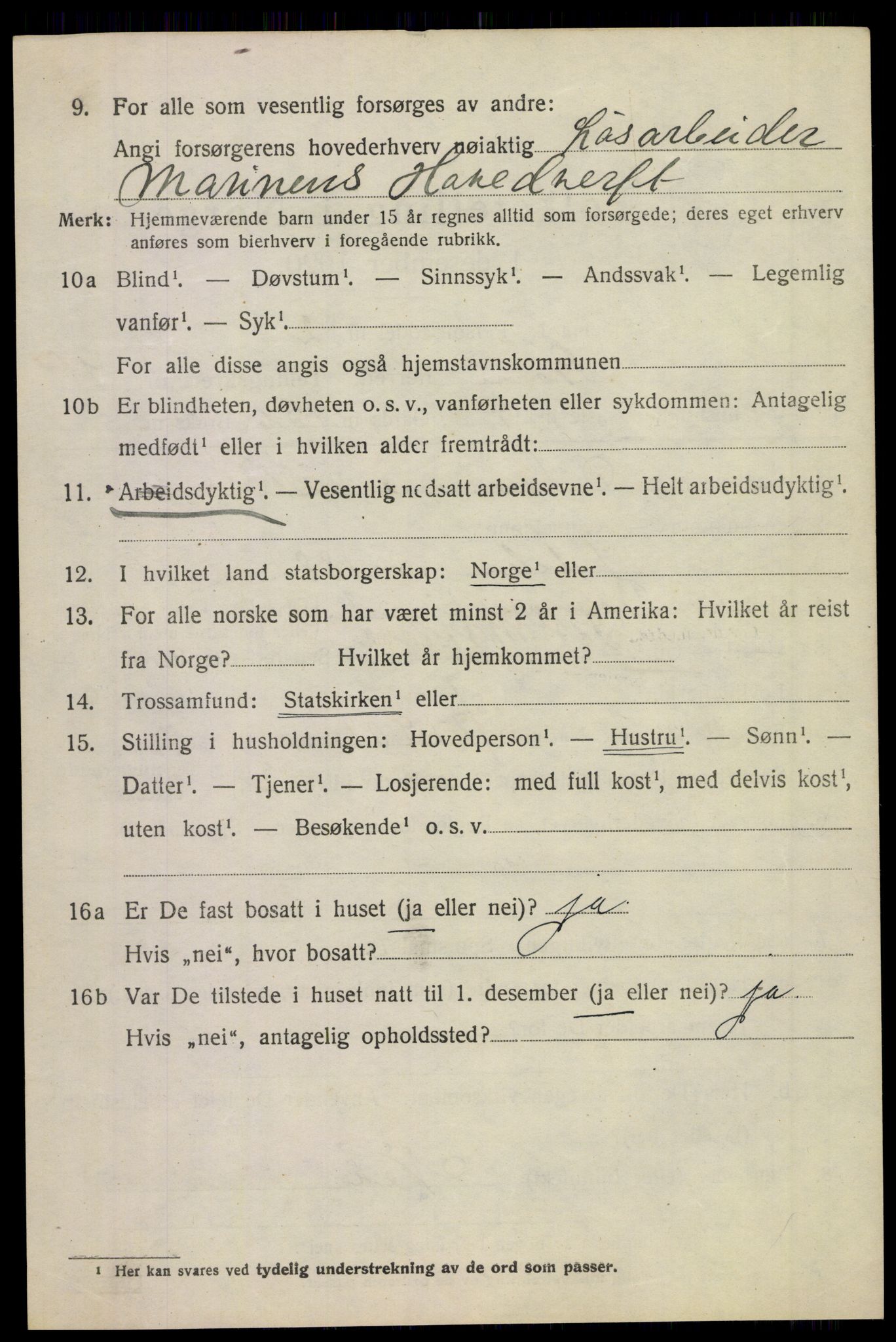 SAKO, 1920 census for Borre, 1920, p. 1441