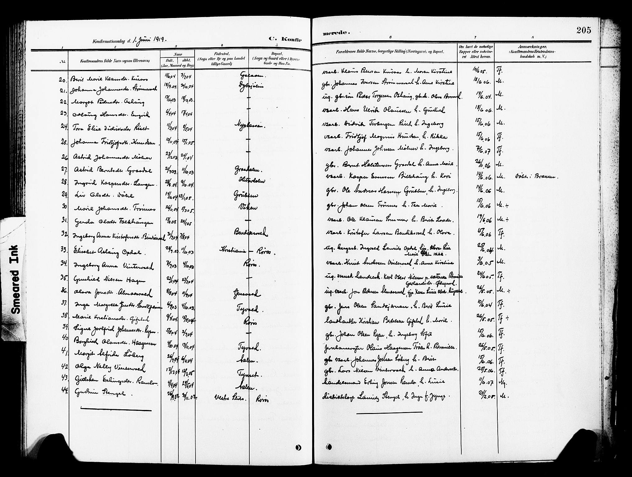 Ministerialprotokoller, klokkerbøker og fødselsregistre - Sør-Trøndelag, SAT/A-1456/681/L0942: Parish register (copy) no. 681C06, 1906-1925, p. 205