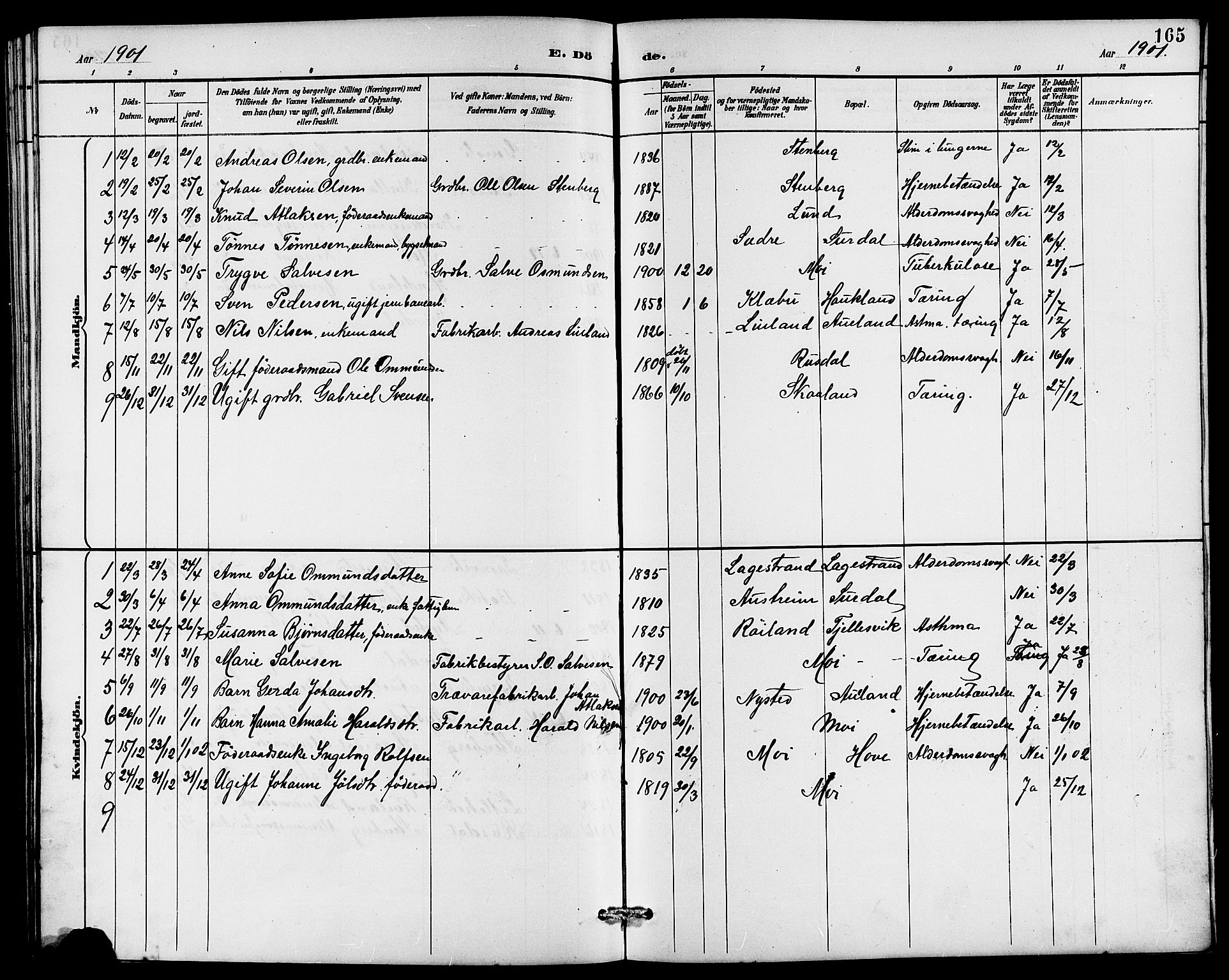 Lund sokneprestkontor, AV/SAST-A-101809/S07/L0006: Parish register (copy) no. B 6, 1885-1901, p. 165