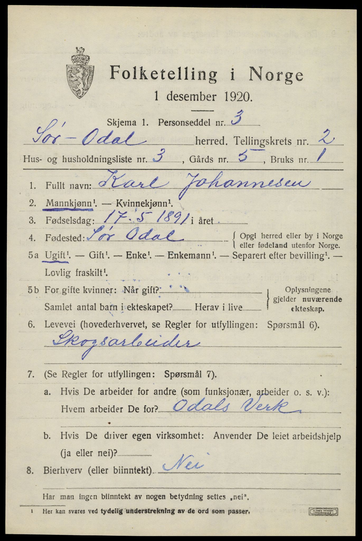 SAH, 1920 census for Sør-Odal, 1920, p. 3007