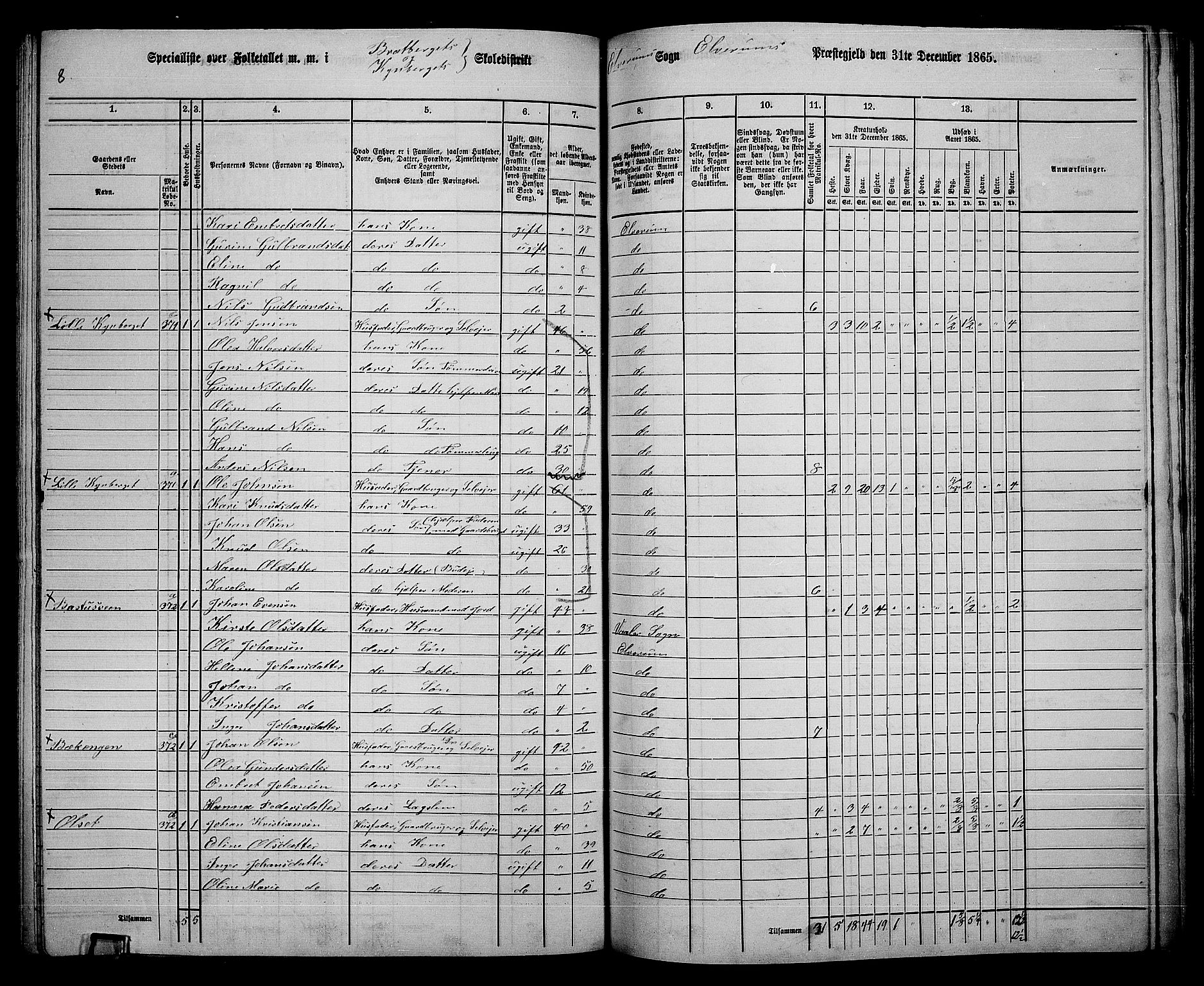 RA, 1865 census for Elverum, 1865, p. 224