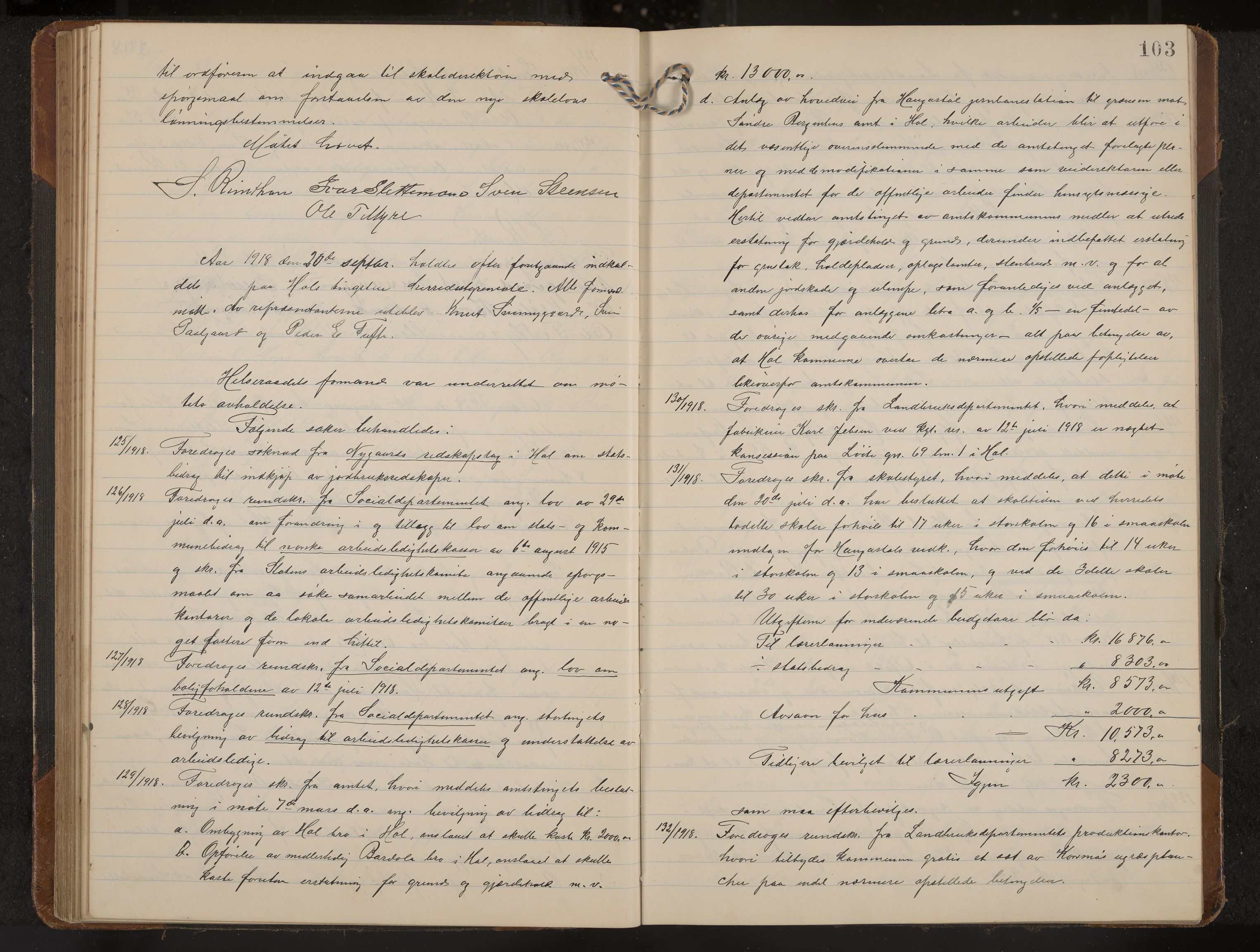 Hol formannskap og sentraladministrasjon, IKAK/0620021-1/A/L0006: Møtebok, 1916-1922, p. 103