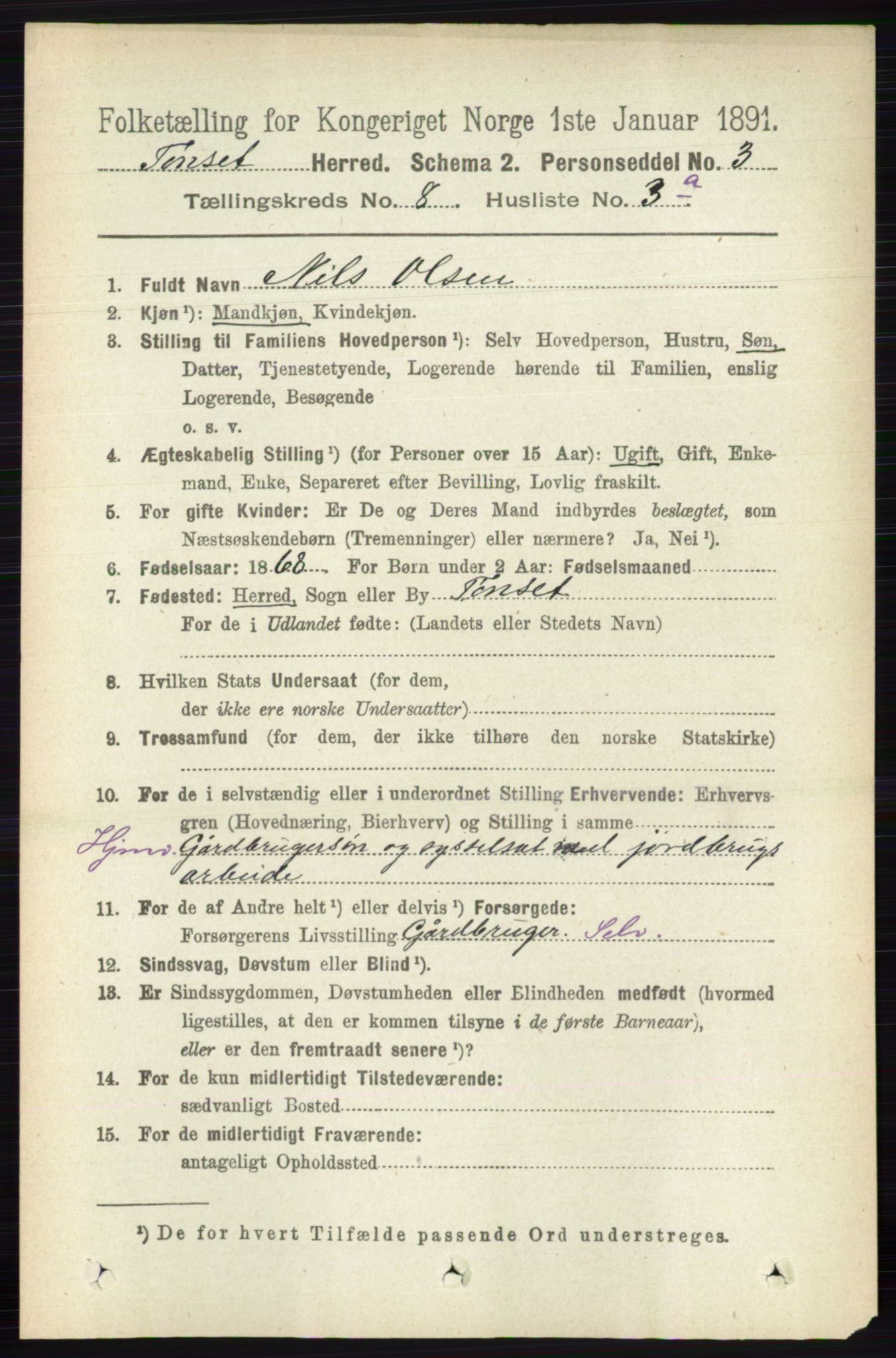 RA, 1891 census for 0437 Tynset, 1891, p. 2086