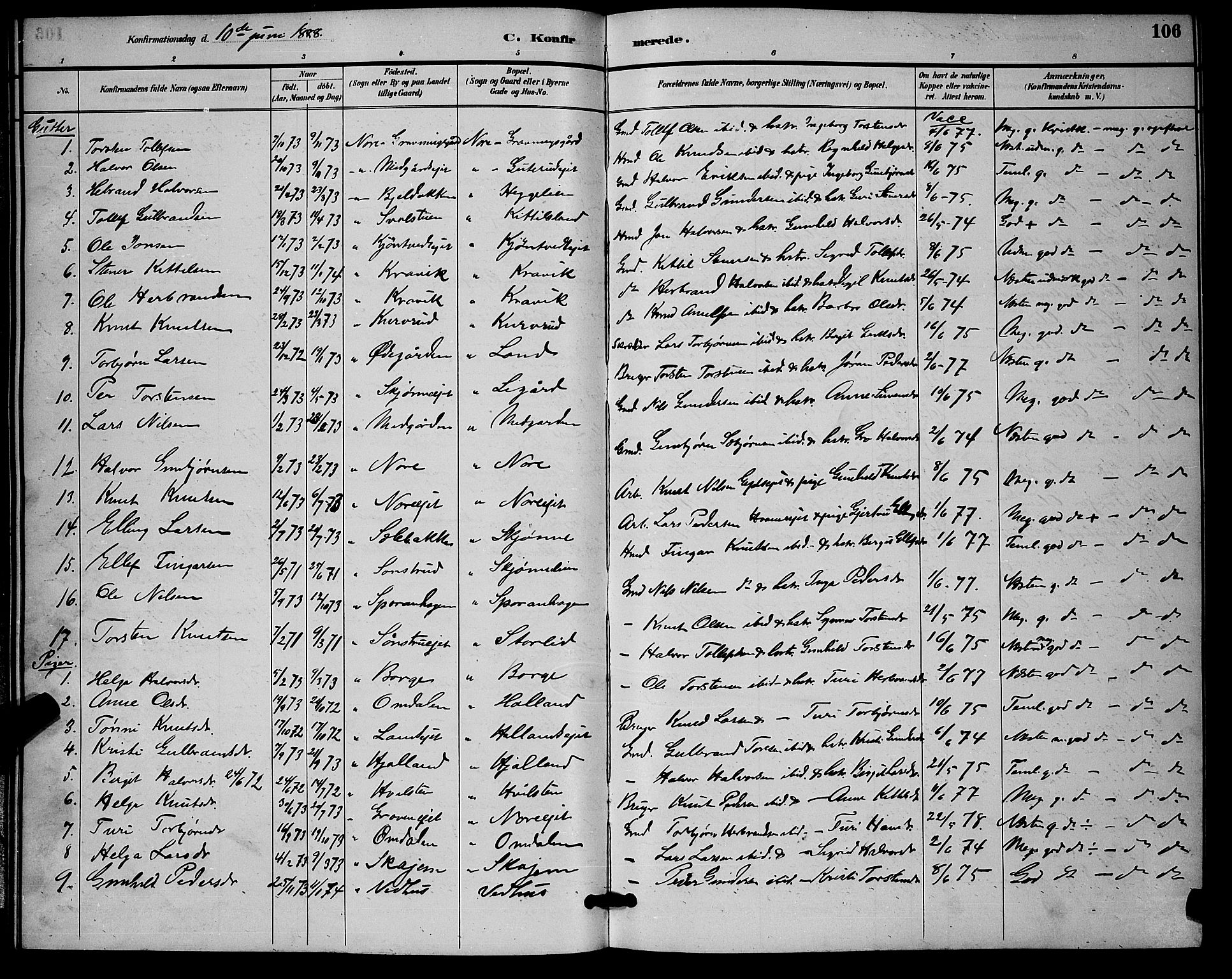 Nore kirkebøker, SAKO/A-238/G/Ga/L0003: Parish register (copy) no. I 3, 1886-1903, p. 106