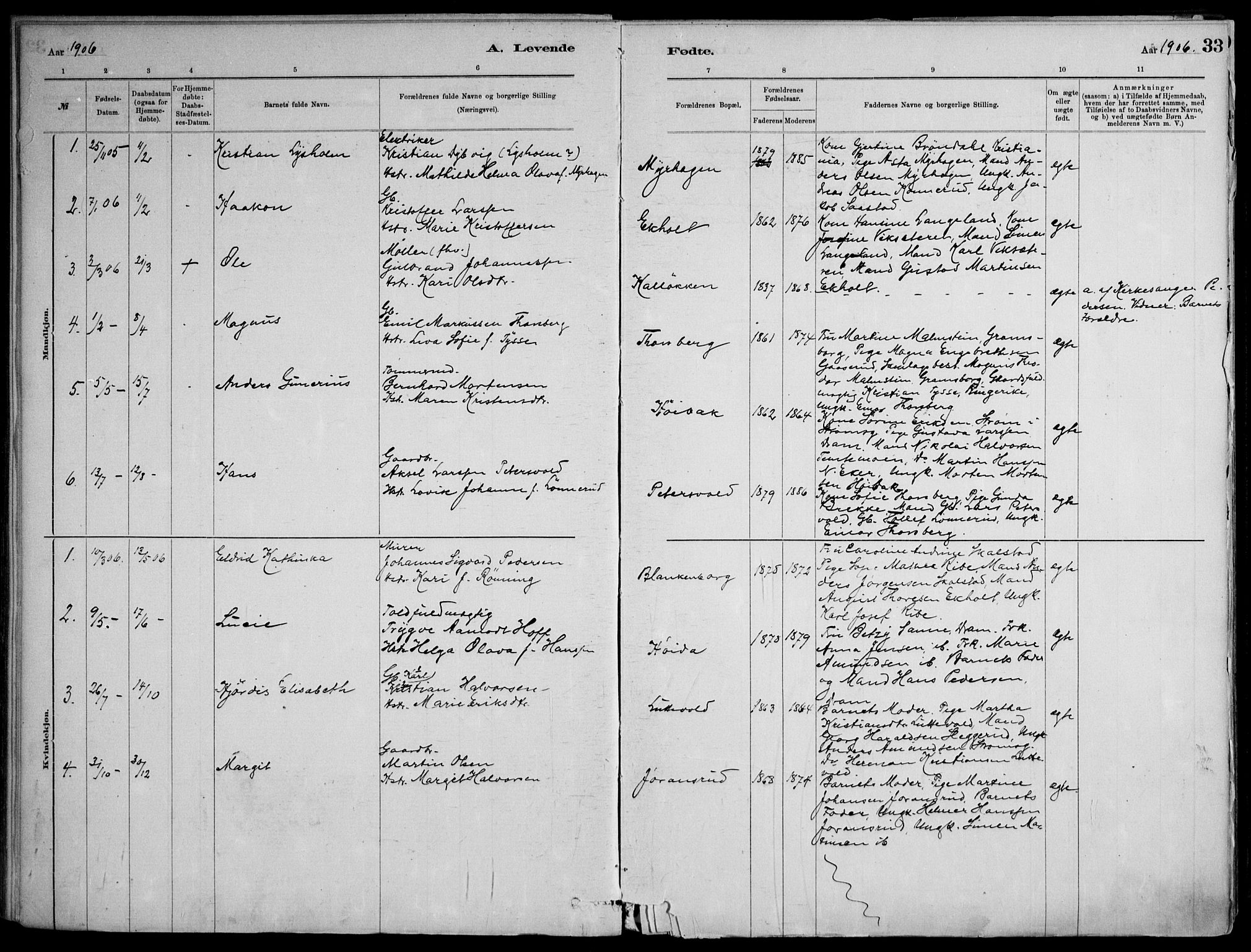 Skoger kirkebøker, AV/SAKO-A-59/F/Fb/L0001: Parish register (official) no. II 1, 1885-1913, p. 33