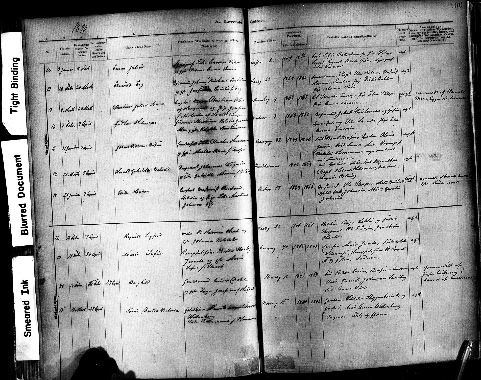 Ministerialprotokoller, klokkerbøker og fødselsregistre - Sør-Trøndelag, SAT/A-1456/602/L0119: Parish register (official) no. 602A17, 1880-1901, p. 100