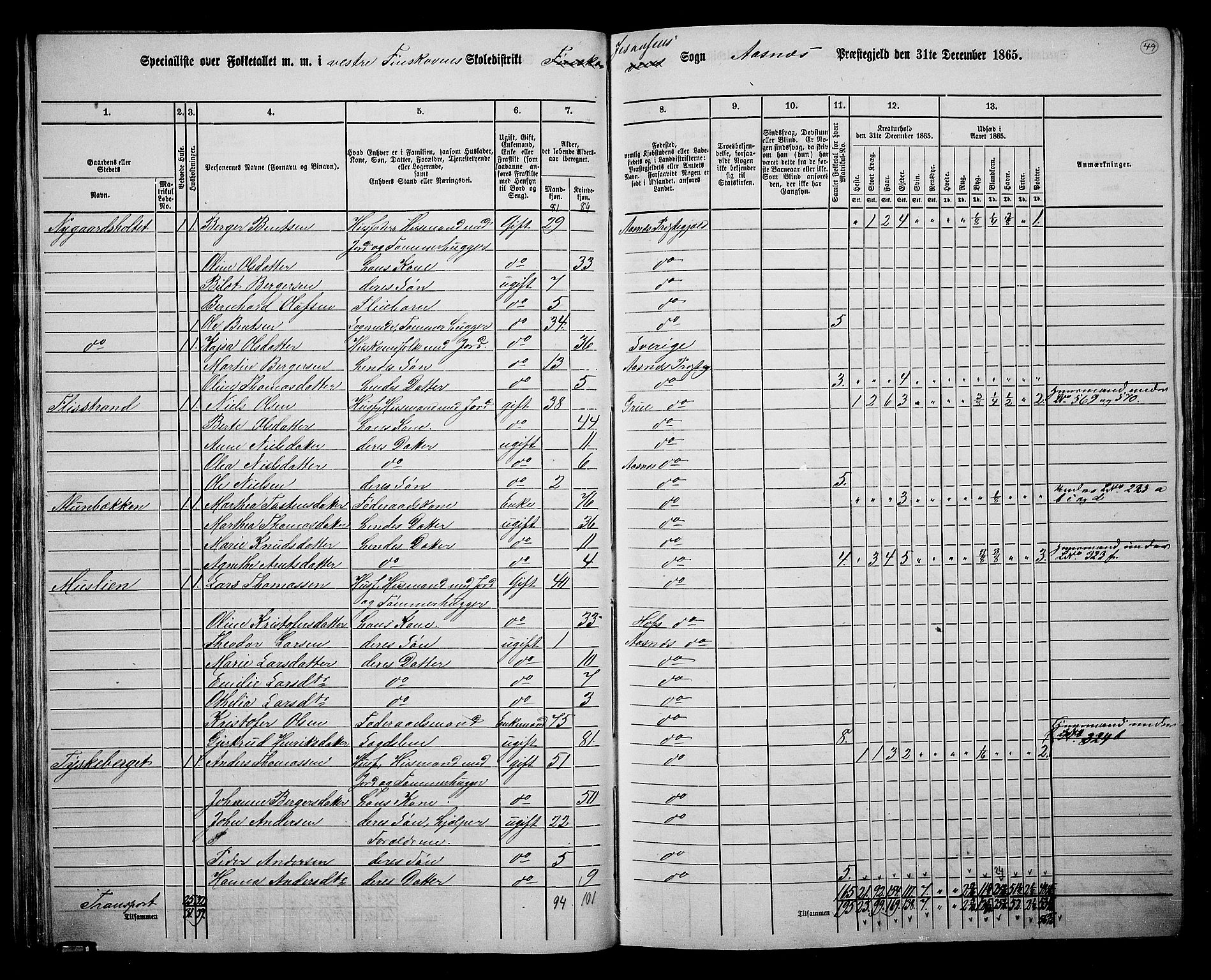 RA, 1865 census for Åsnes, 1865, p. 45