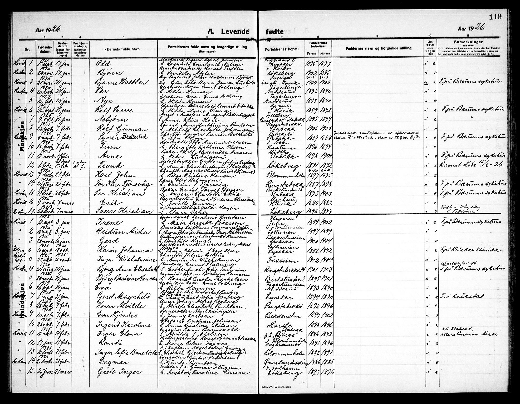 Østre Bærum prestekontor Kirkebøker, AV/SAO-A-10887/G/Ga/L0002: Parish register (copy) no. 2, 1912-1929, p. 119