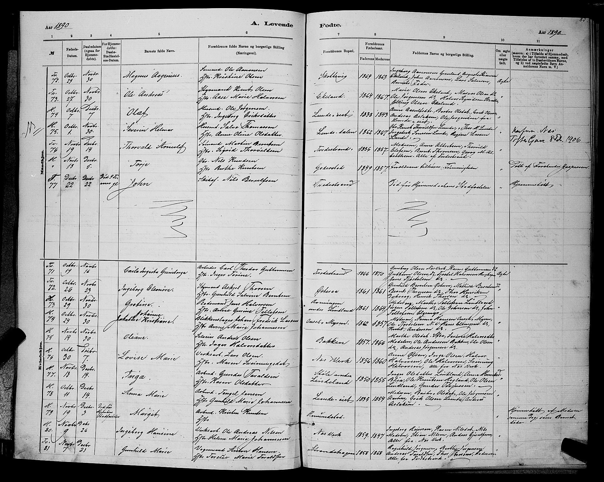 Holt sokneprestkontor, AV/SAK-1111-0021/F/Fb/L0010: Parish register (copy) no. B 10, 1883-1896, p. 85