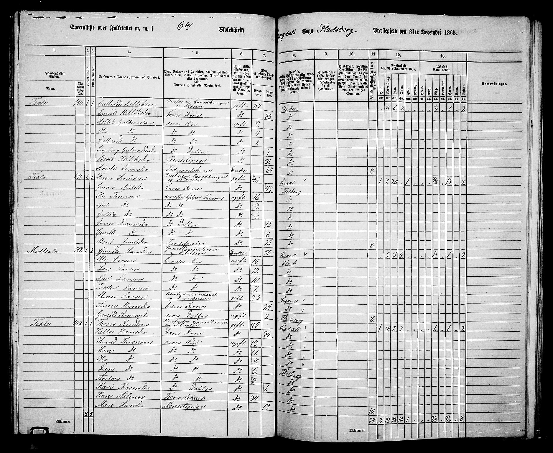 RA, 1865 census for Flesberg, 1865, p. 109