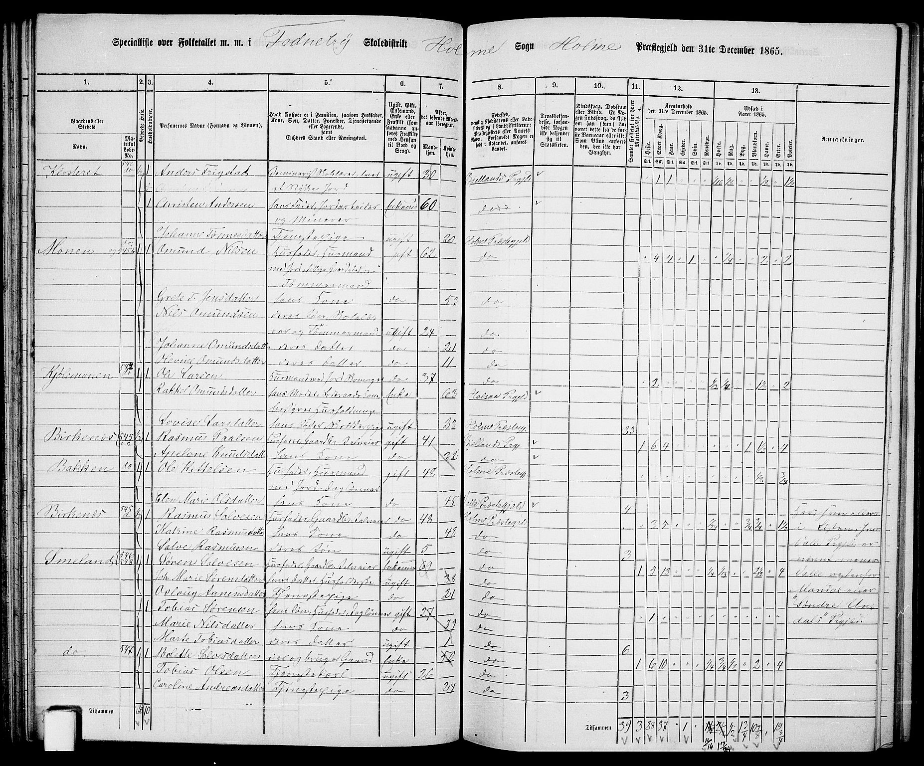 RA, 1865 census for Holum, 1865, p. 63