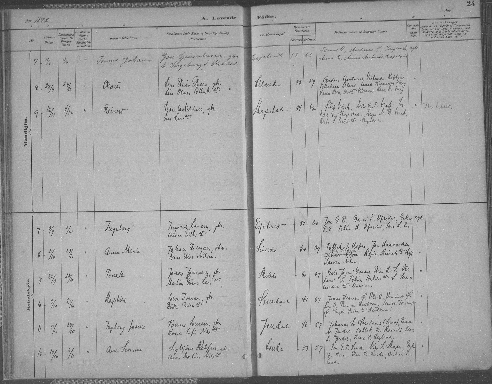 Bakke sokneprestkontor, AV/SAK-1111-0002/F/Fa/Faa/L0008: Parish register (official) no. A 8, 1887-1911, p. 24