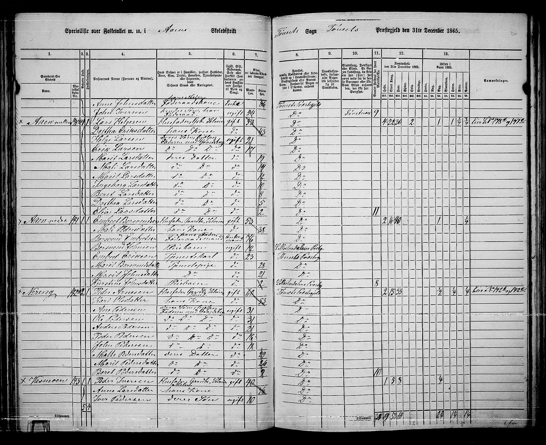 RA, 1865 census for Tynset, 1865, p. 65