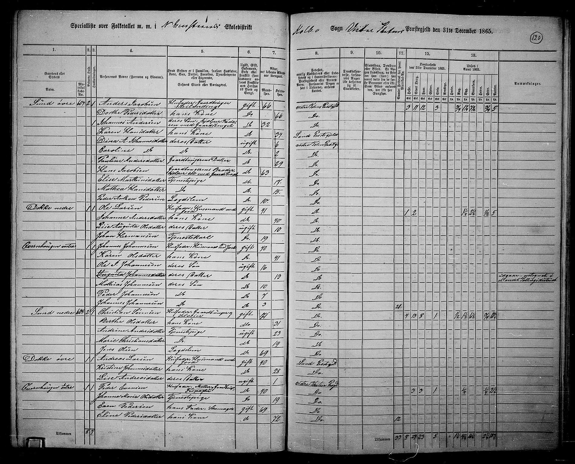 RA, 1865 census for Vestre Toten, 1865, p. 269