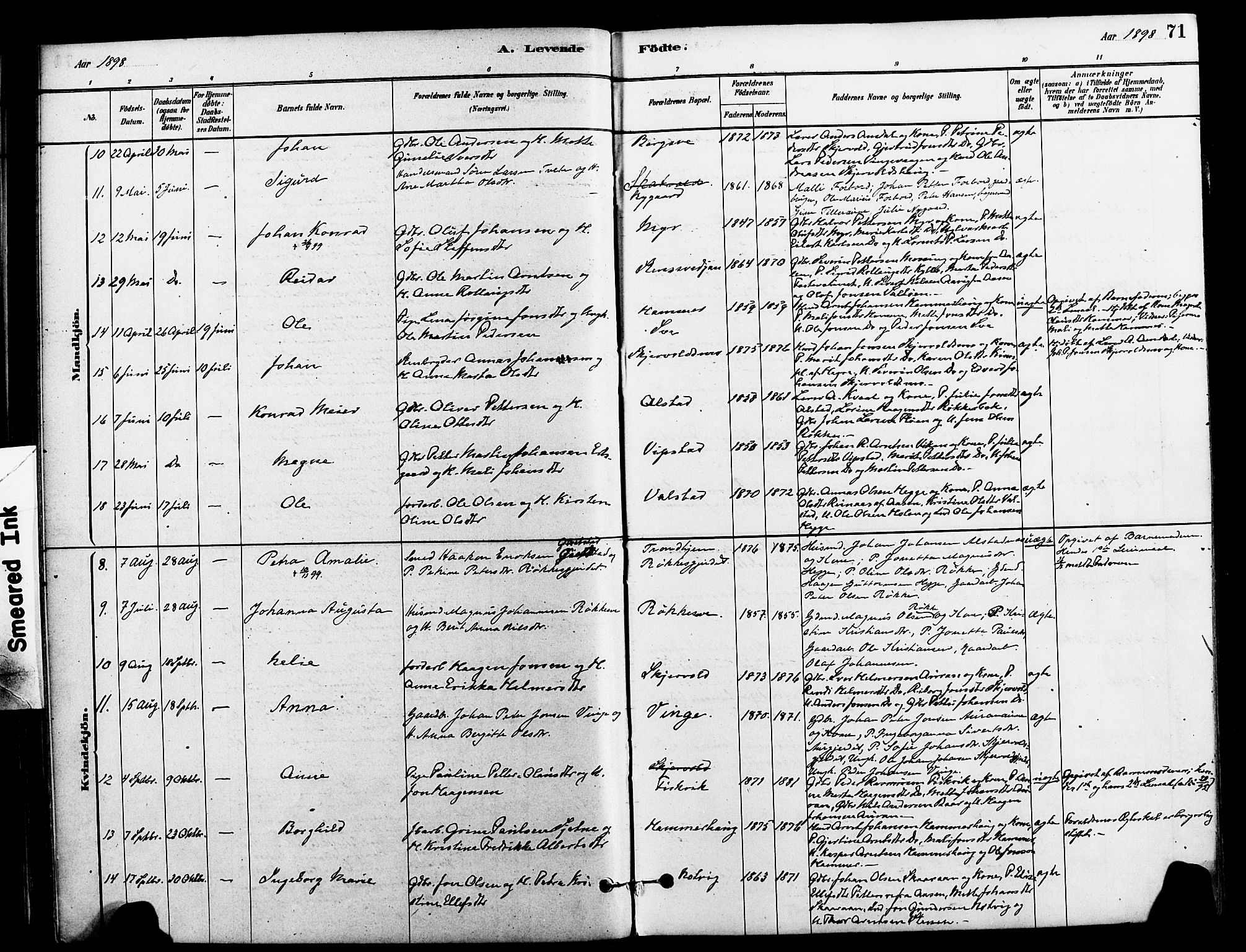 Ministerialprotokoller, klokkerbøker og fødselsregistre - Nord-Trøndelag, AV/SAT-A-1458/712/L0100: Parish register (official) no. 712A01, 1880-1900, p. 71