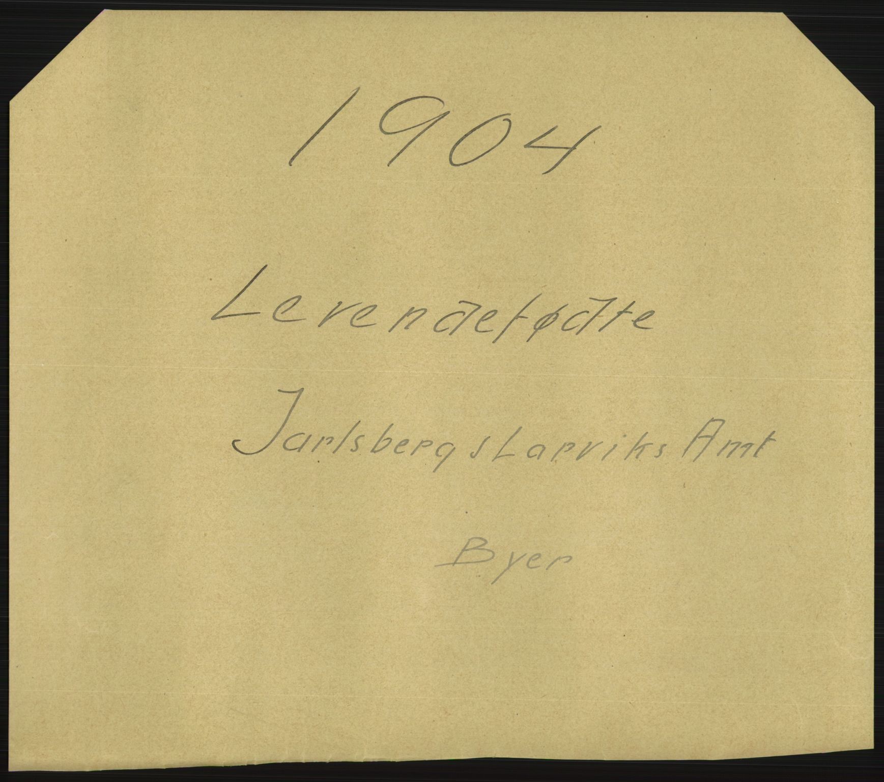 Statistisk sentralbyrå, Sosiodemografiske emner, Befolkning, AV/RA-S-2228/D/Df/Dfa/Dfab/L0008: Jarlsberg og Larvig amt: Fødte, gifte, døde, 1904, p. 261