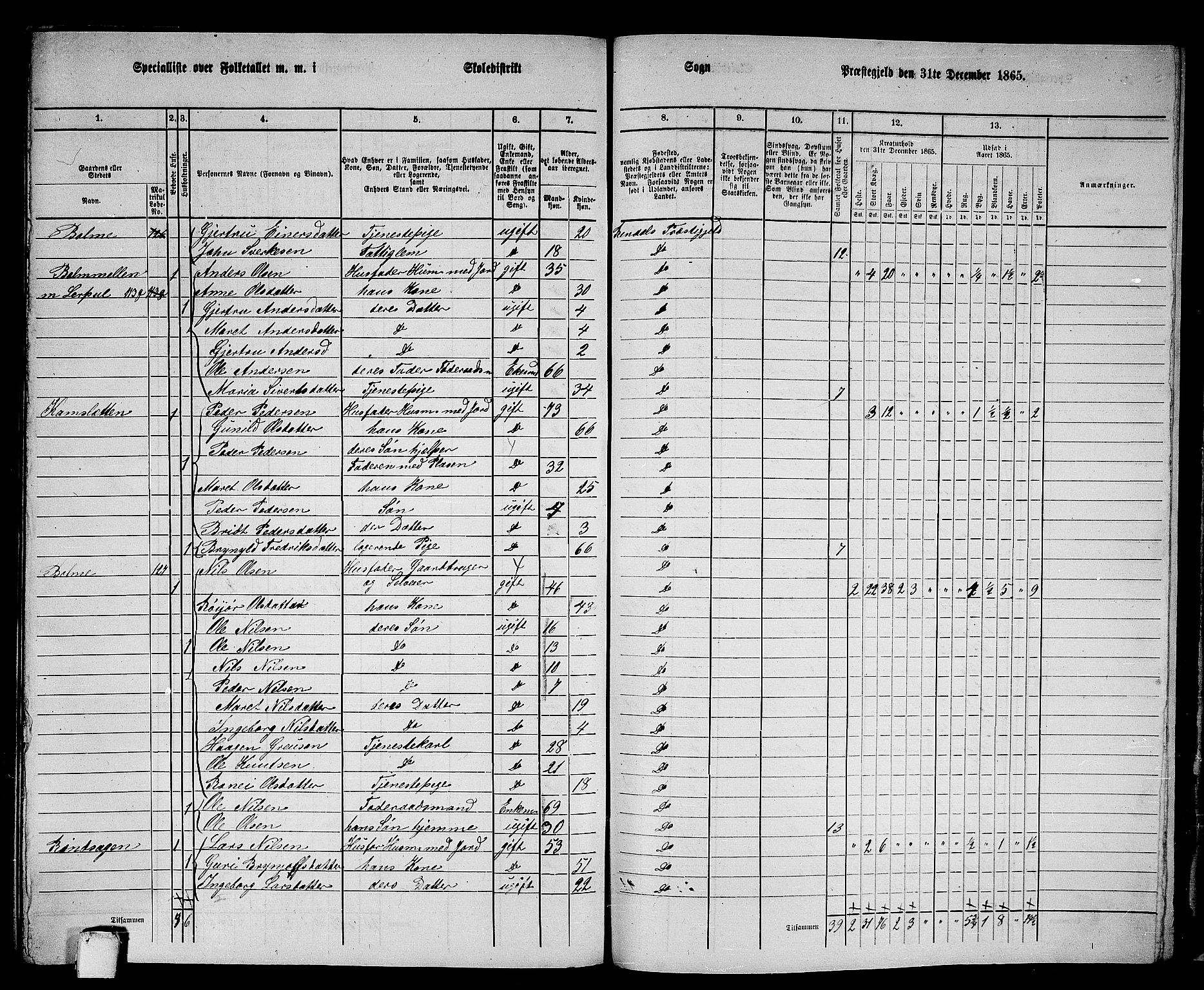 RA, 1865 census for Rindal, 1865, p. 97