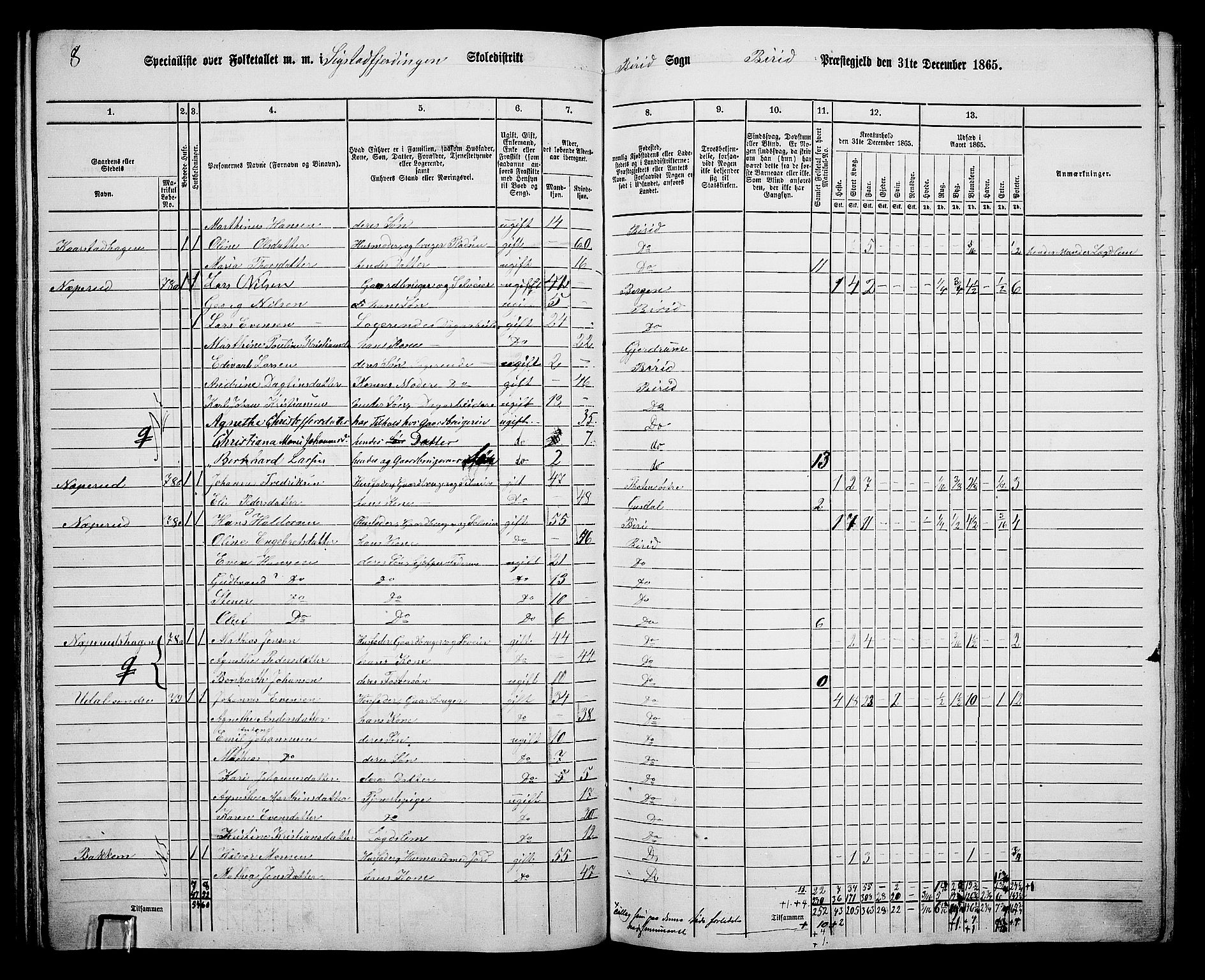 RA, 1865 census for Biri, 1865, p. 73