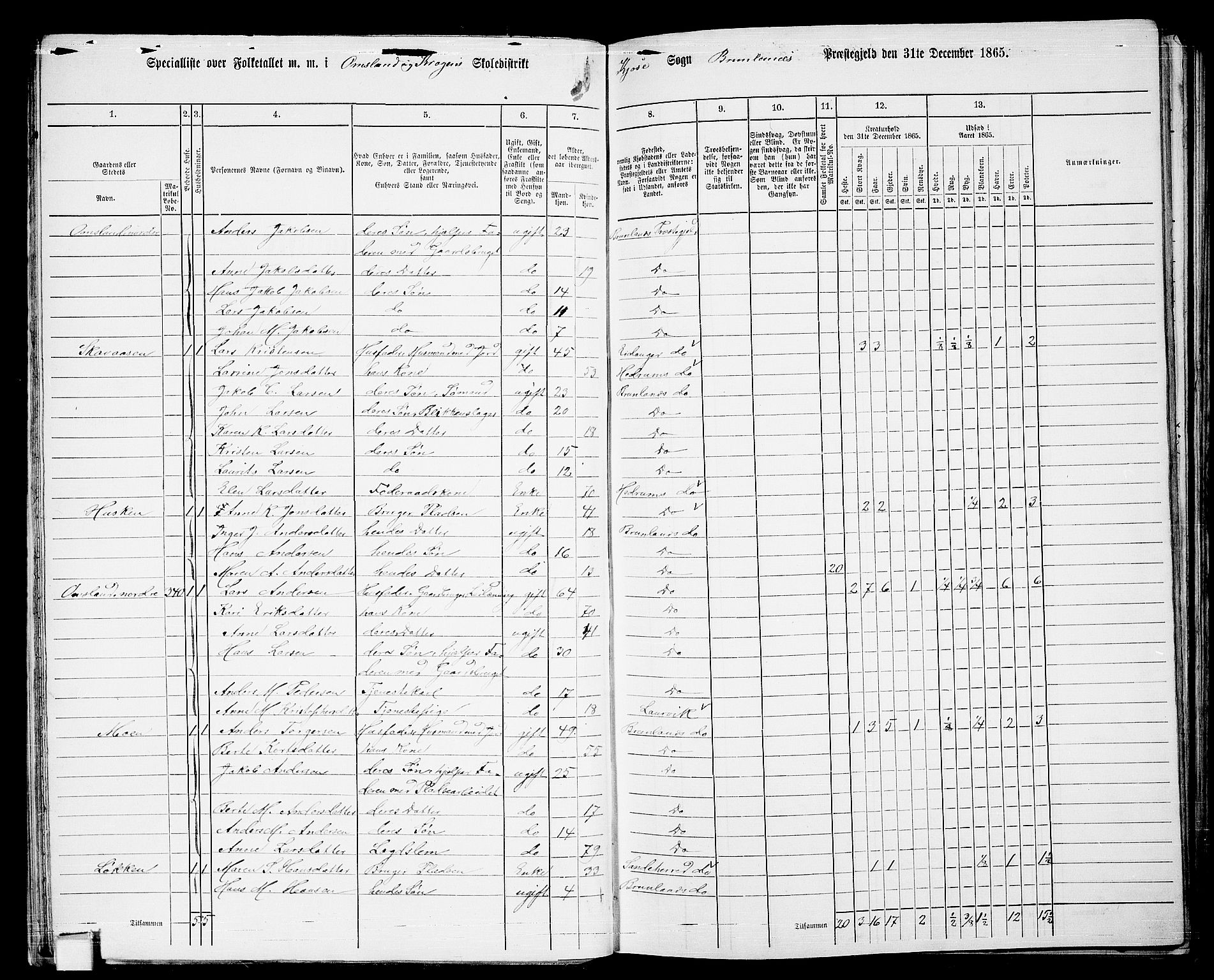 RA, 1865 census for Brunlanes, 1865, p. 29