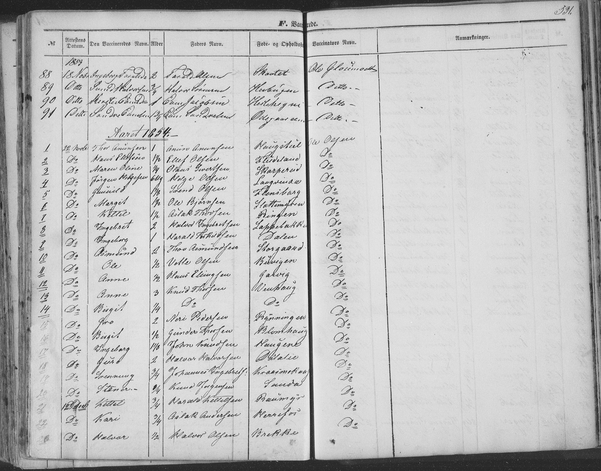 Seljord kirkebøker, SAKO/A-20/F/Fa/L012b: Parish register (official) no. I 12B, 1850-1865, p. 531
