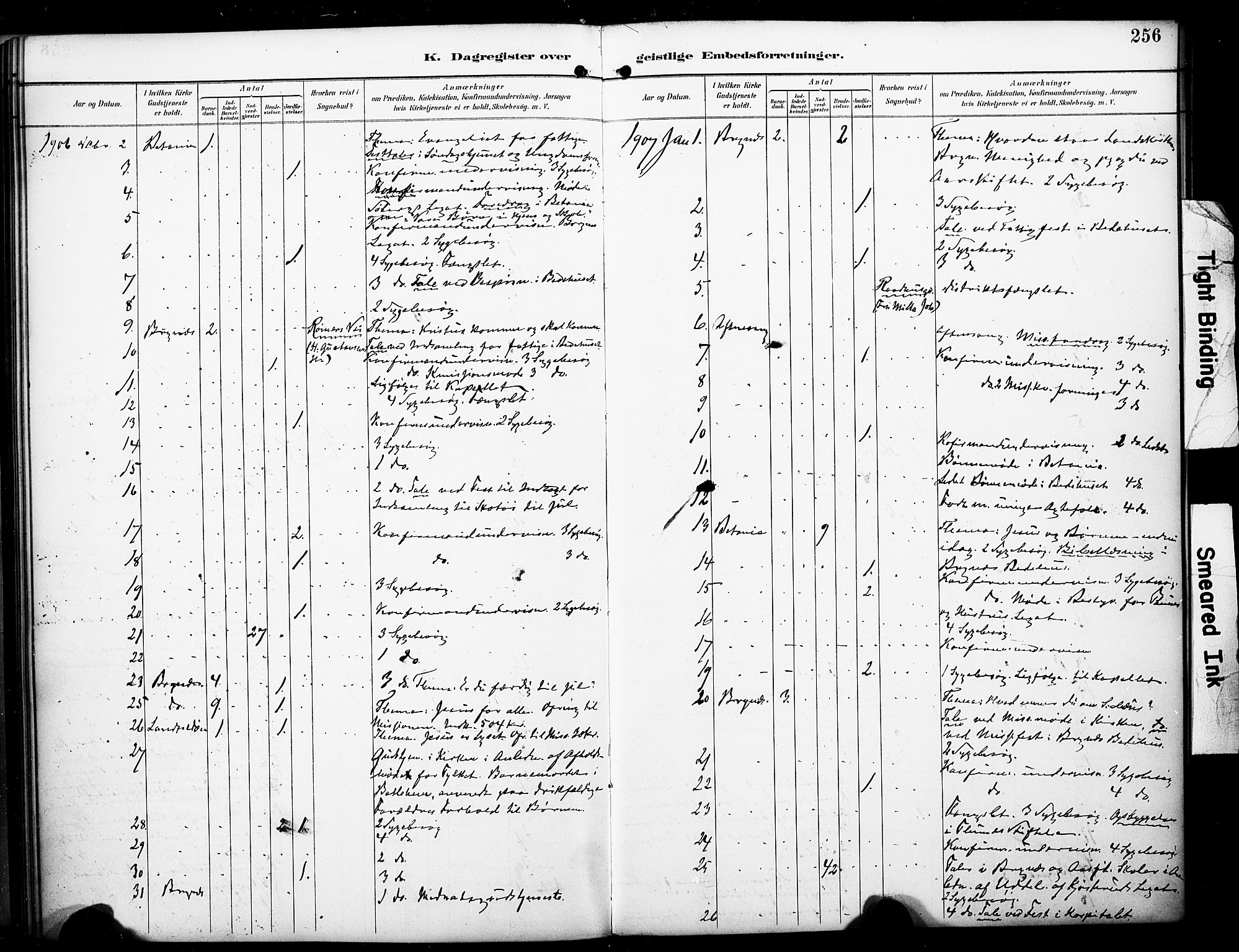 Bragernes kirkebøker, AV/SAKO-A-6/F/Fc/L0006: Parish register (official) no. III 6, 1888-1899, p. 256