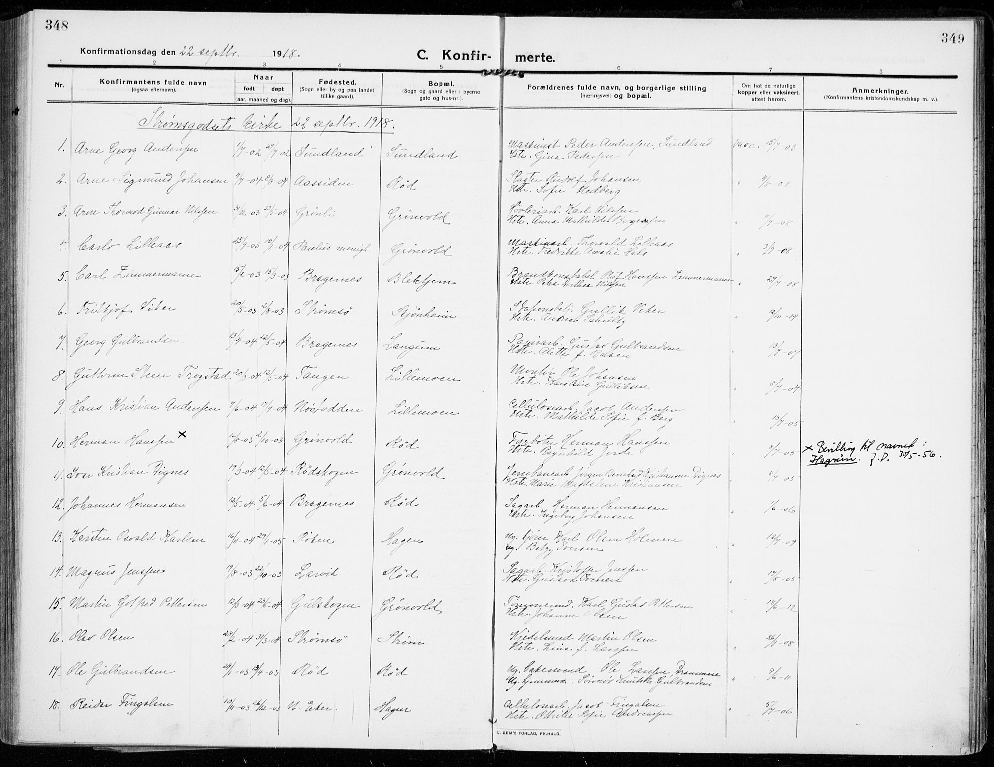 Strømsgodset kirkebøker, SAKO/A-324/F/Fa/L0002: Parish register (official) no. 2, 1910-1920, p. 348-349