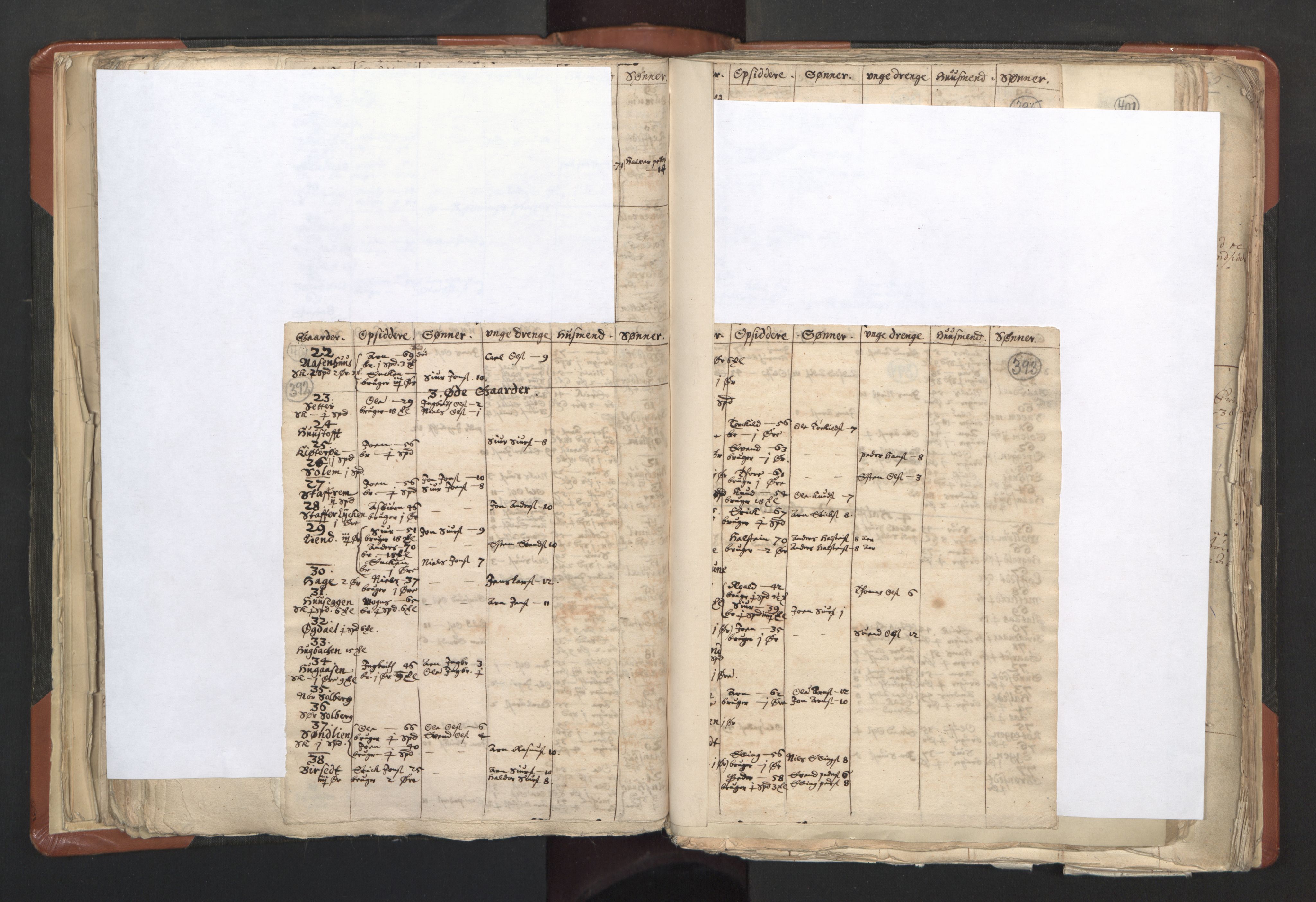 RA, Vicar's Census 1664-1666, no. 31: Dalane deanery, 1664-1666, p. 392-393