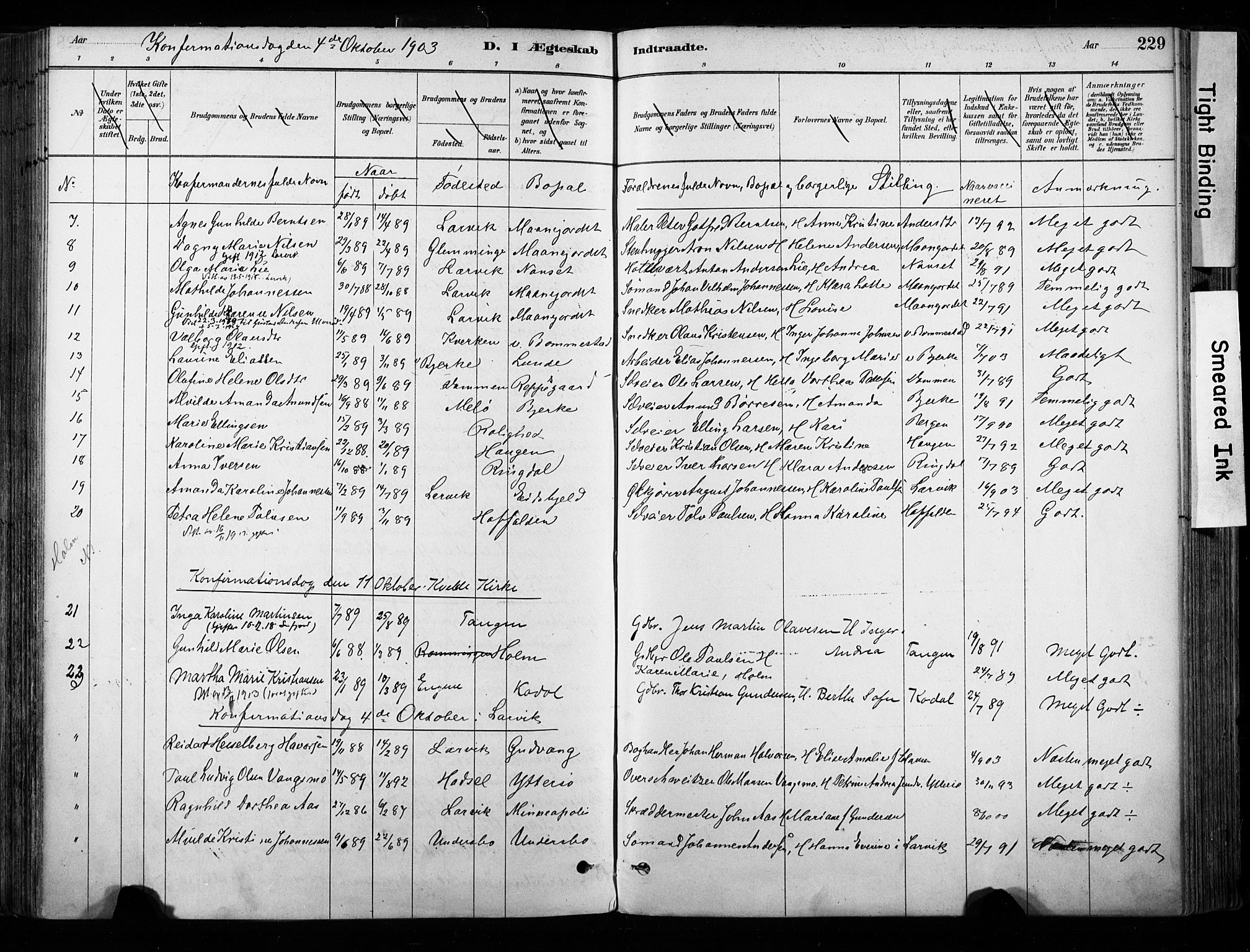 Hedrum kirkebøker, AV/SAKO-A-344/F/Fa/L0009: Parish register (official) no. I 9, 1881-1903, p. 229