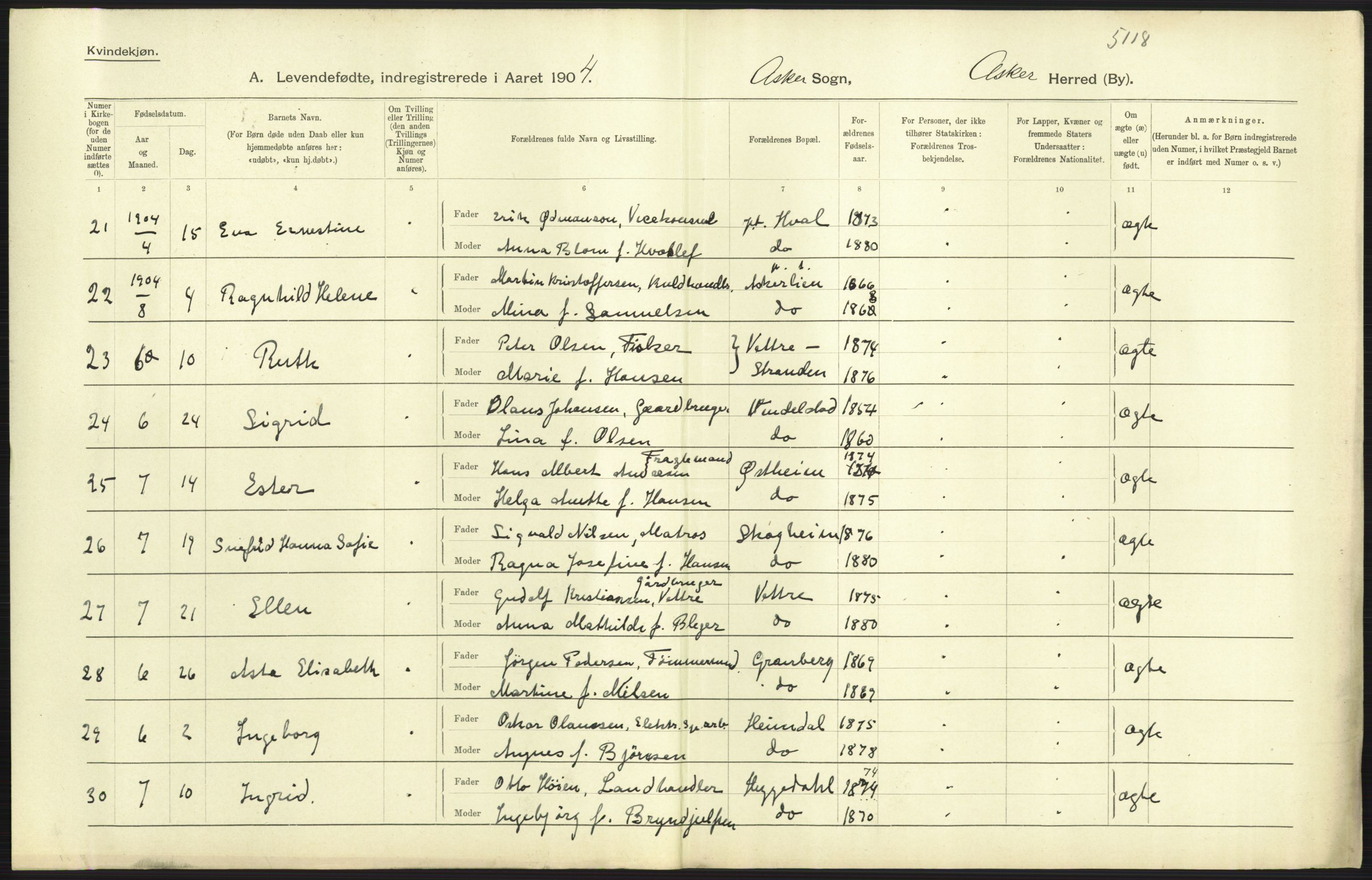 Statistisk sentralbyrå, Sosiodemografiske emner, Befolkning, AV/RA-S-2228/D/Df/Dfa/Dfab/L0002: Akershus amt: Fødte, gifte, døde, 1904, p. 59