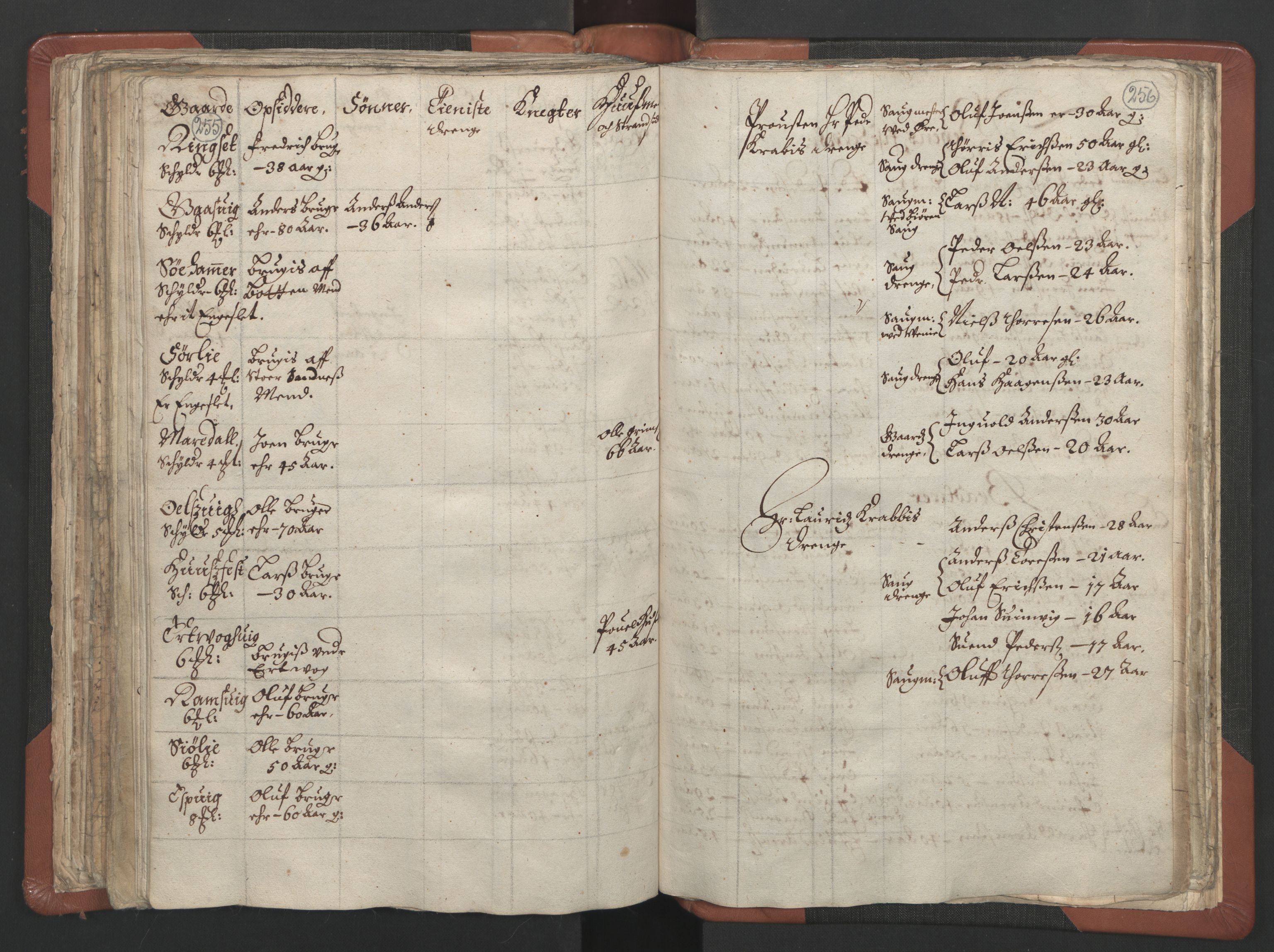 RA, Vicar's Census 1664-1666, no. 29: Nordmøre deanery, 1664-1666, p. 255-256