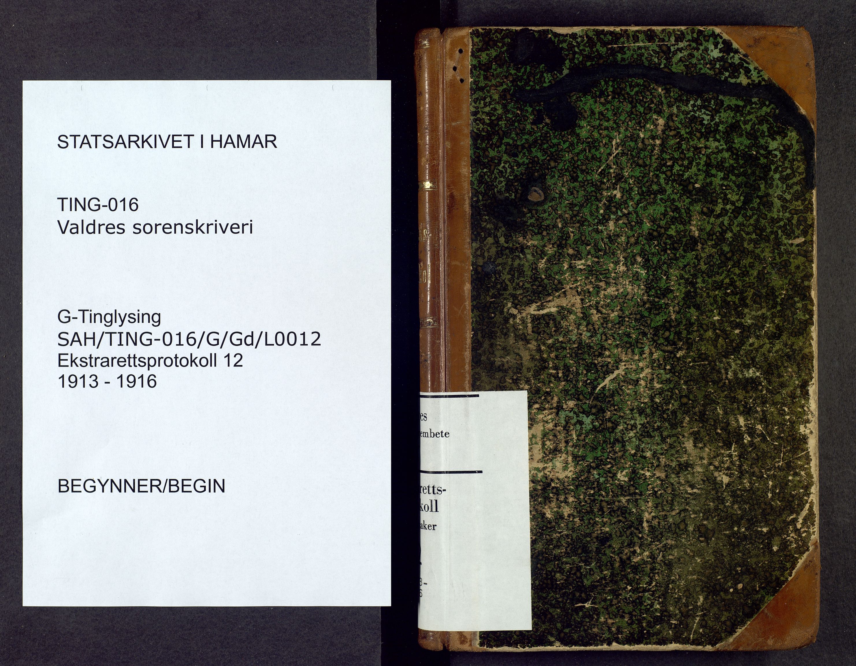 Valdres sorenskriveri, SAH/TING-016/G/Gd/L0012: Åstedsprotokoll, 1913-1916