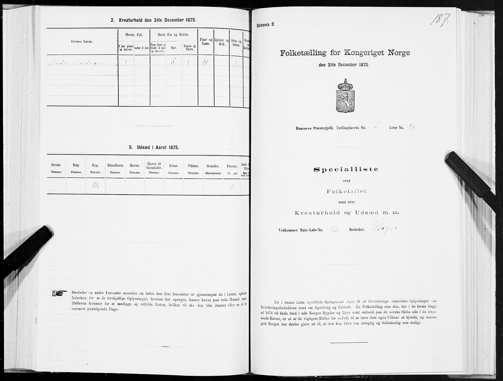 SAT, 1875 census for 1849P Hamarøy, 1875, p. 2187