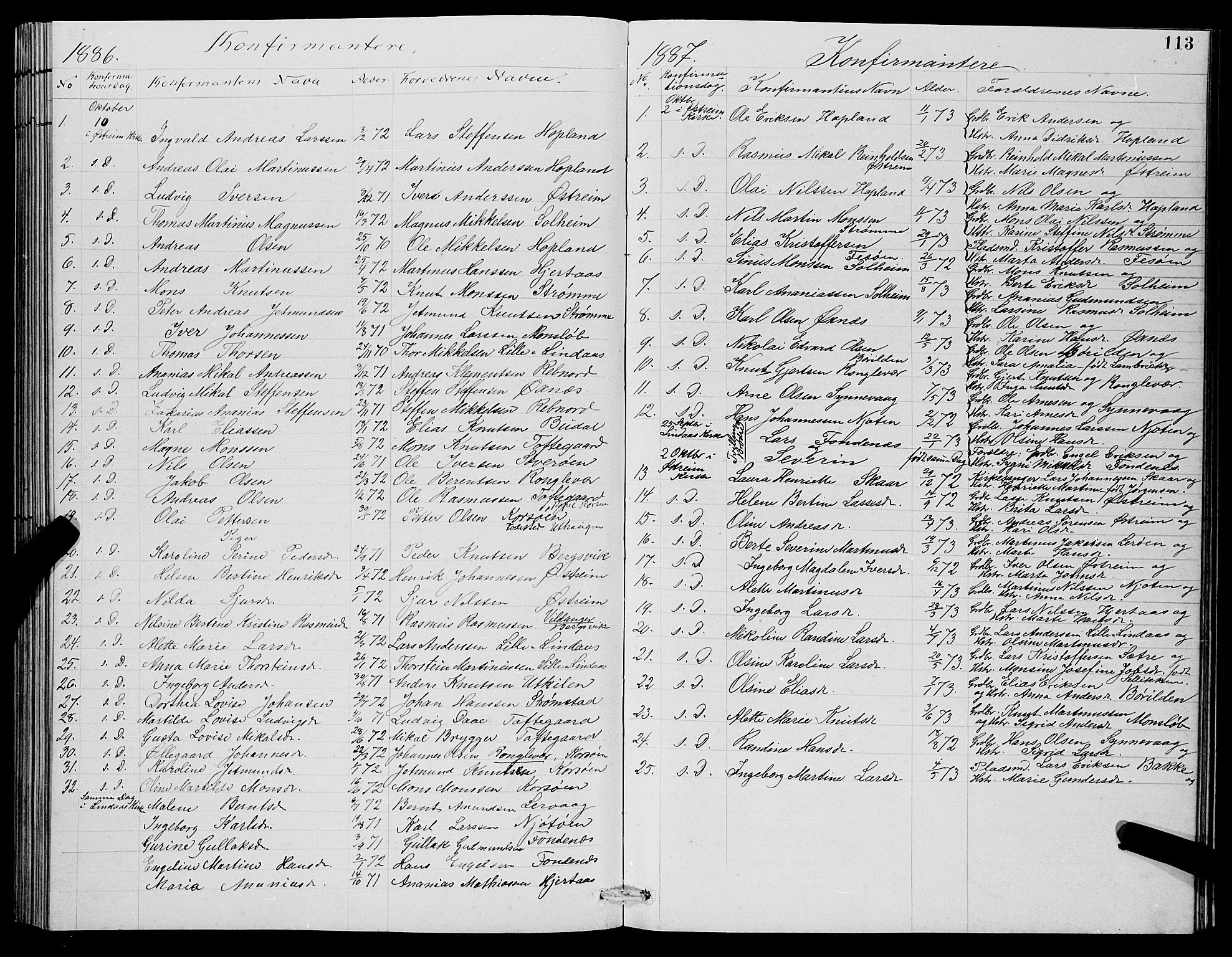 Lindås Sokneprestembete, SAB/A-76701/H/Hab: Parish register (copy) no. C 3, 1886-1893, p. 113