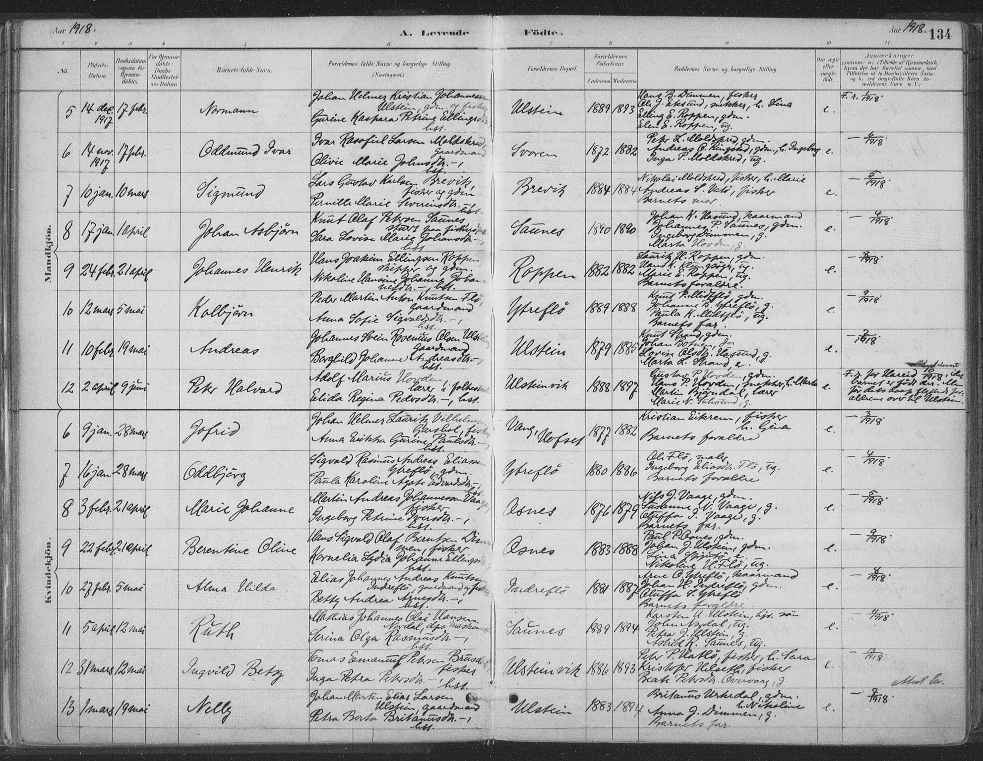 Ministerialprotokoller, klokkerbøker og fødselsregistre - Møre og Romsdal, AV/SAT-A-1454/509/L0106: Parish register (official) no. 509A04, 1883-1922, p. 134