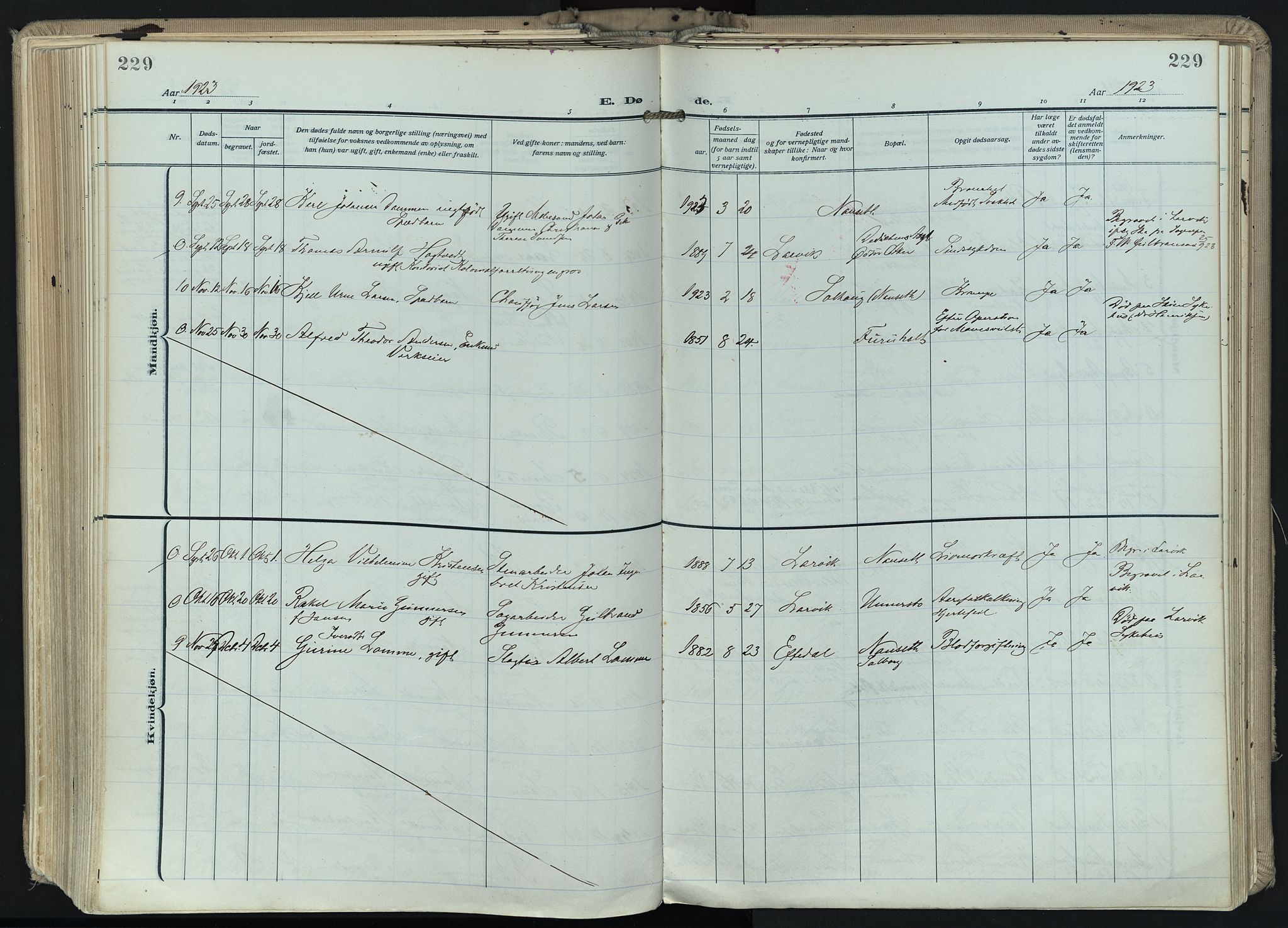 Hedrum kirkebøker, AV/SAKO-A-344/F/Fa/L0011: Parish register (official) no. I 11, 1919-1933, p. 229