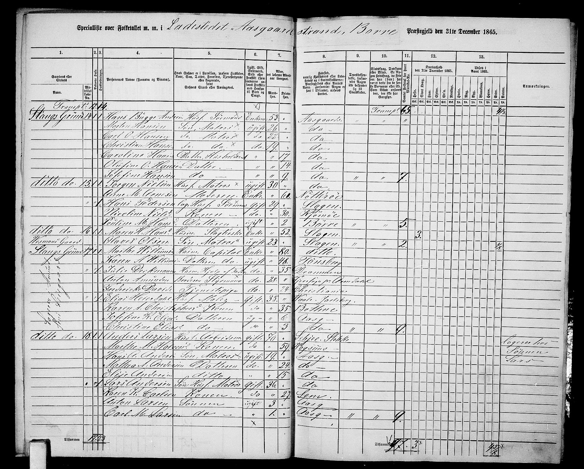 RA, 1865 census for Borre, 1865, p. 8