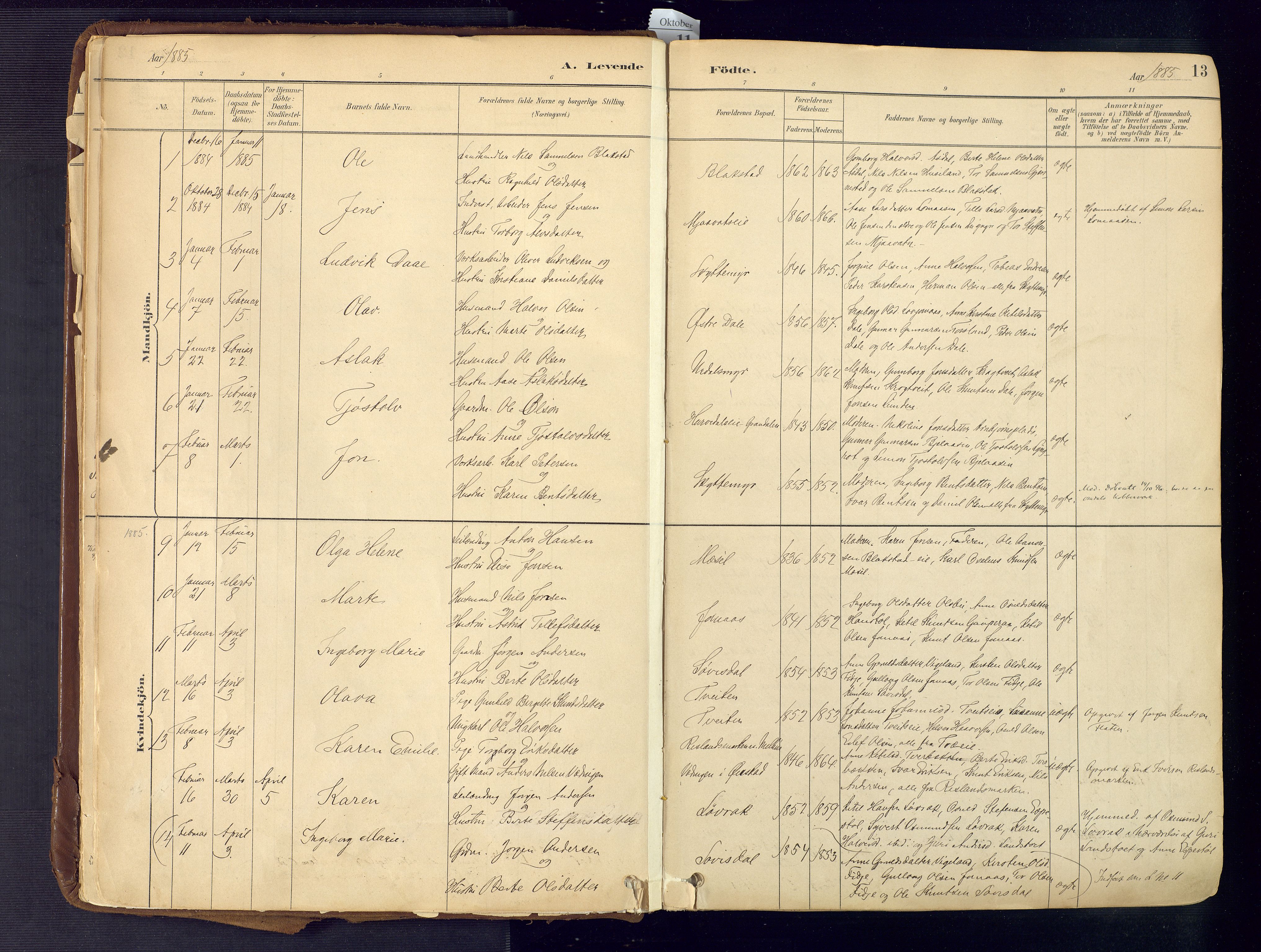 Froland sokneprestkontor, SAK/1111-0013/F/Fa/L0005: Parish register (official) no. A 5, 1882-1921, p. 13